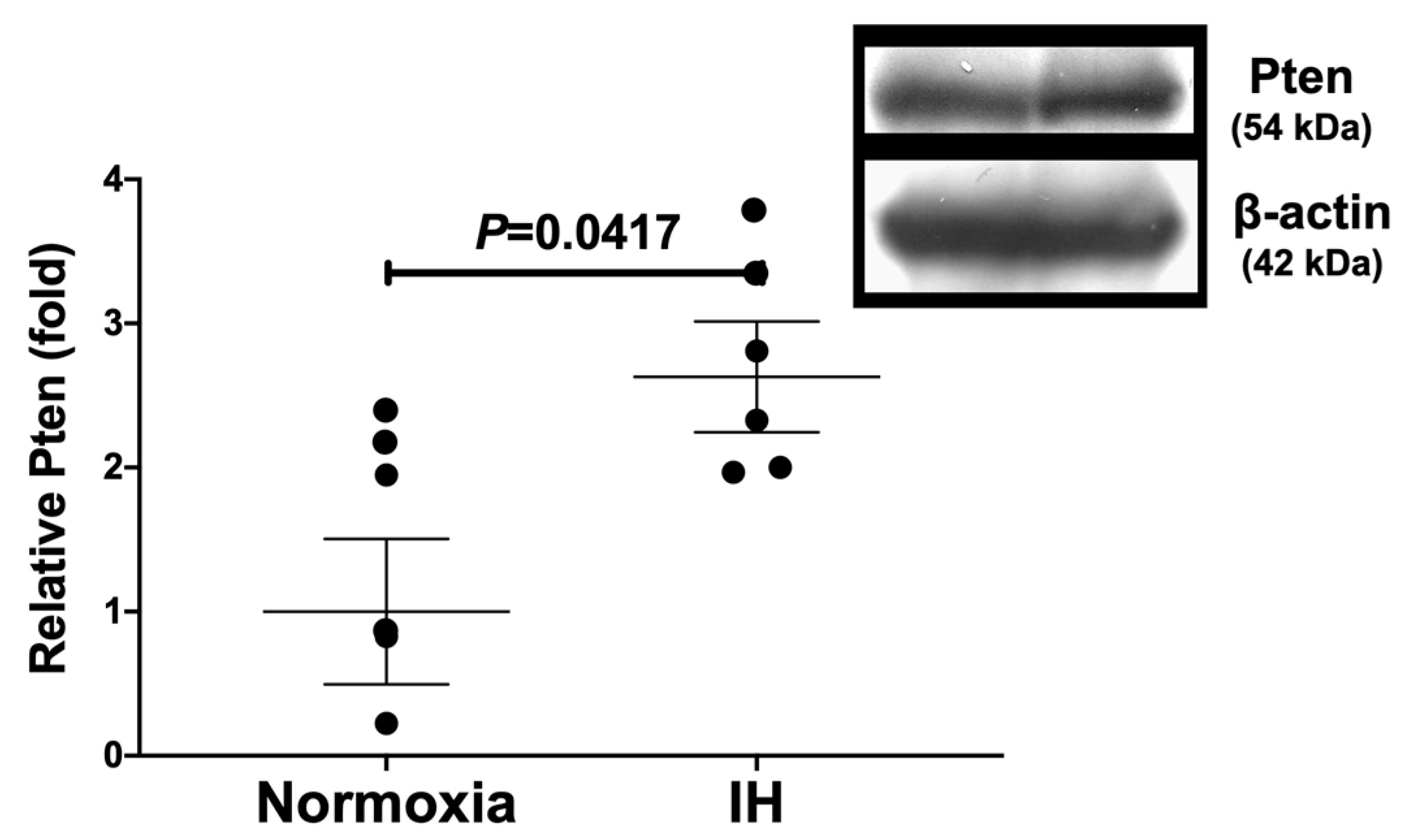 Ijms 23 08782 g006 Ijms 23 08782 g006