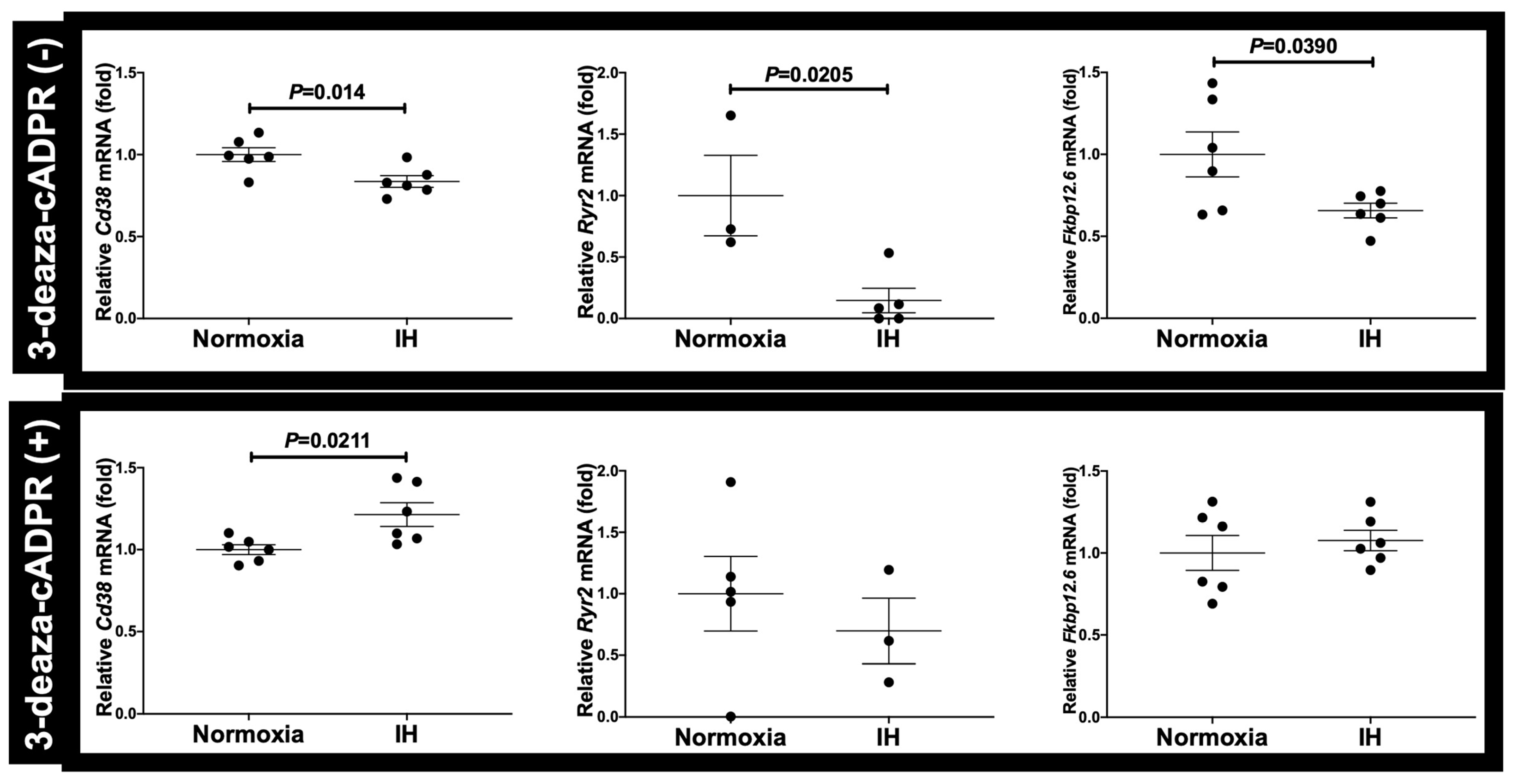 Ijms 23 08782 g008 Ijms 23 08782 g008