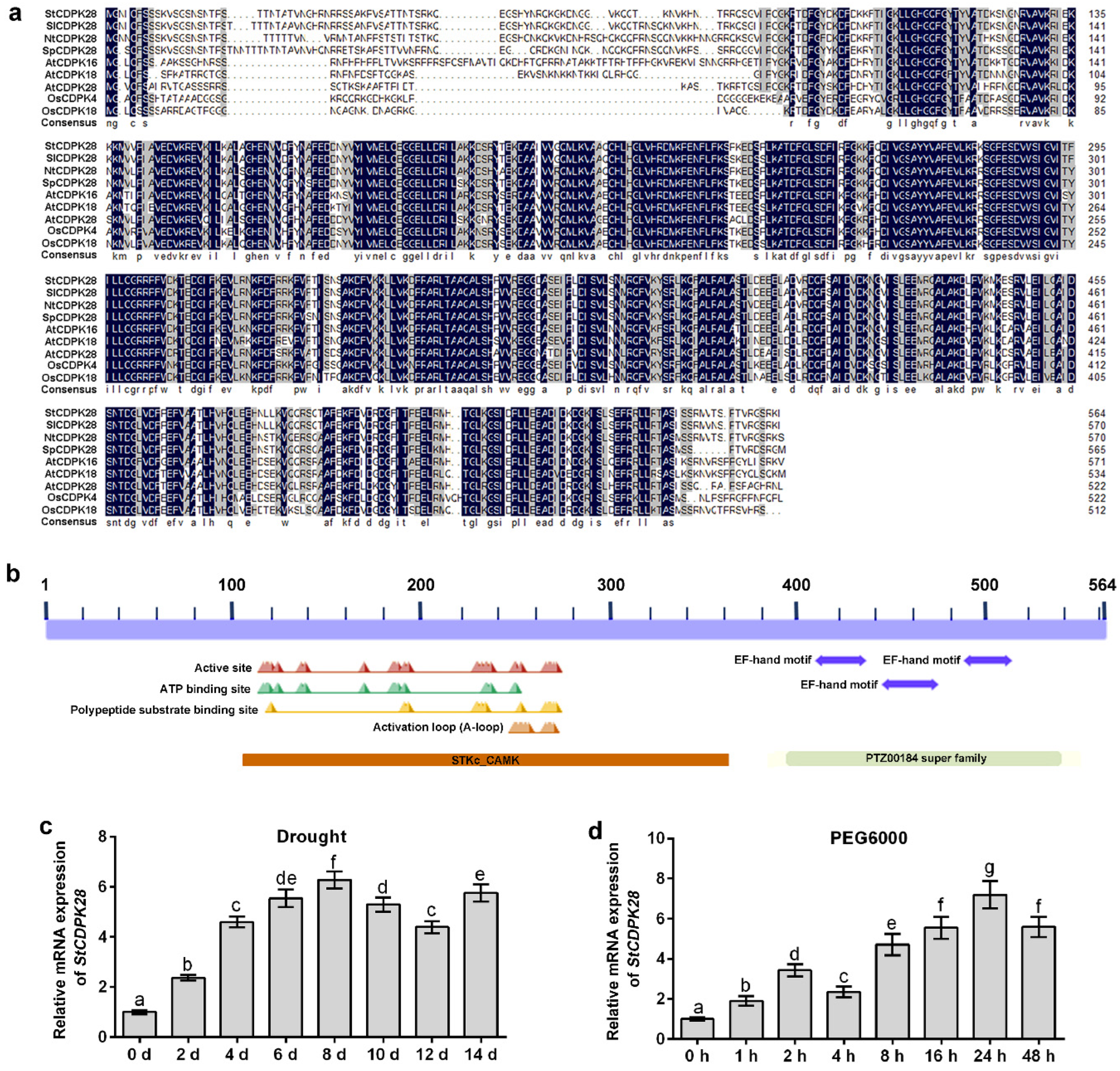 Ijms 23 08795 g003 550
