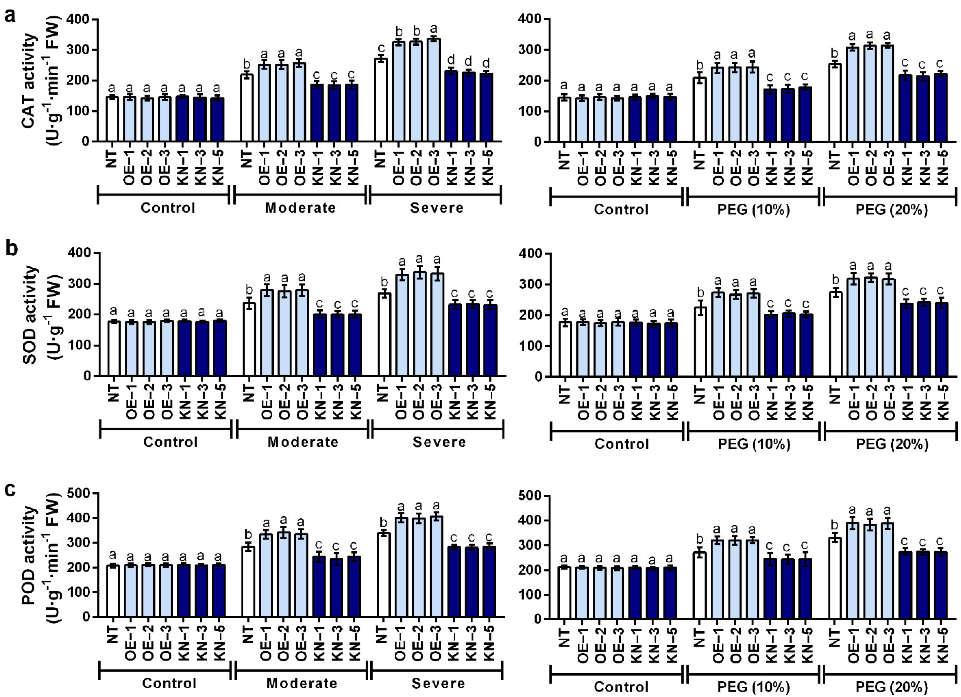 Ijms 23 08795 g006 550