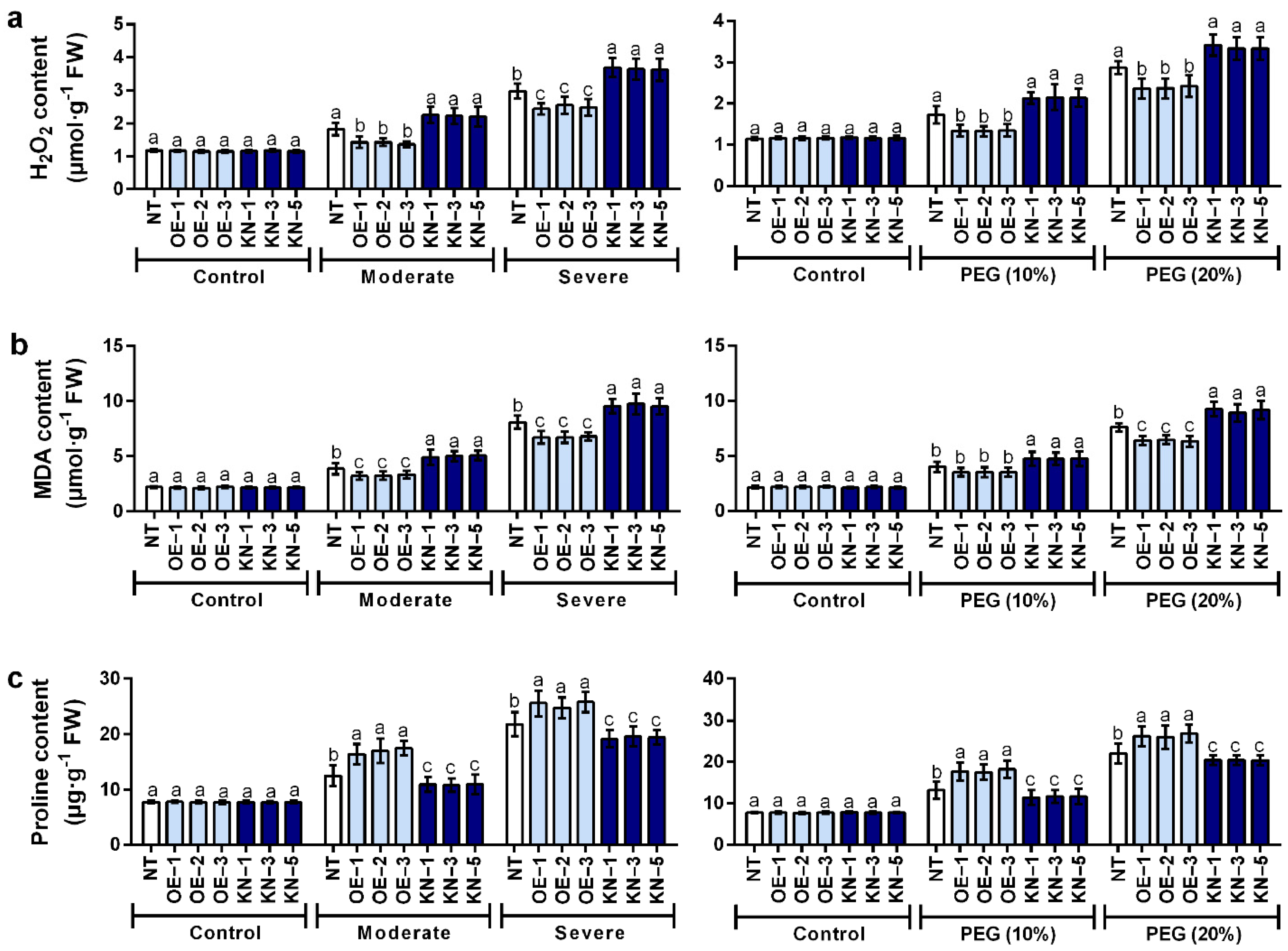 Ijms 23 08795 g007 550