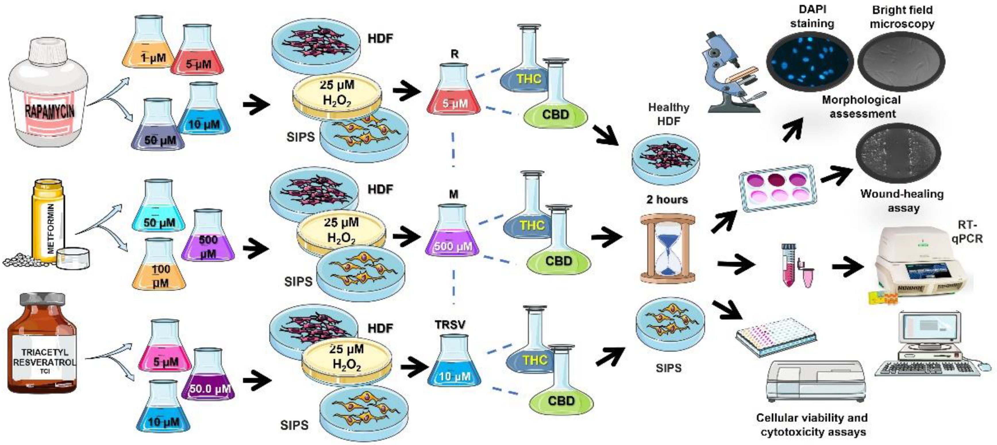 Ijms 23 08804 g001 550