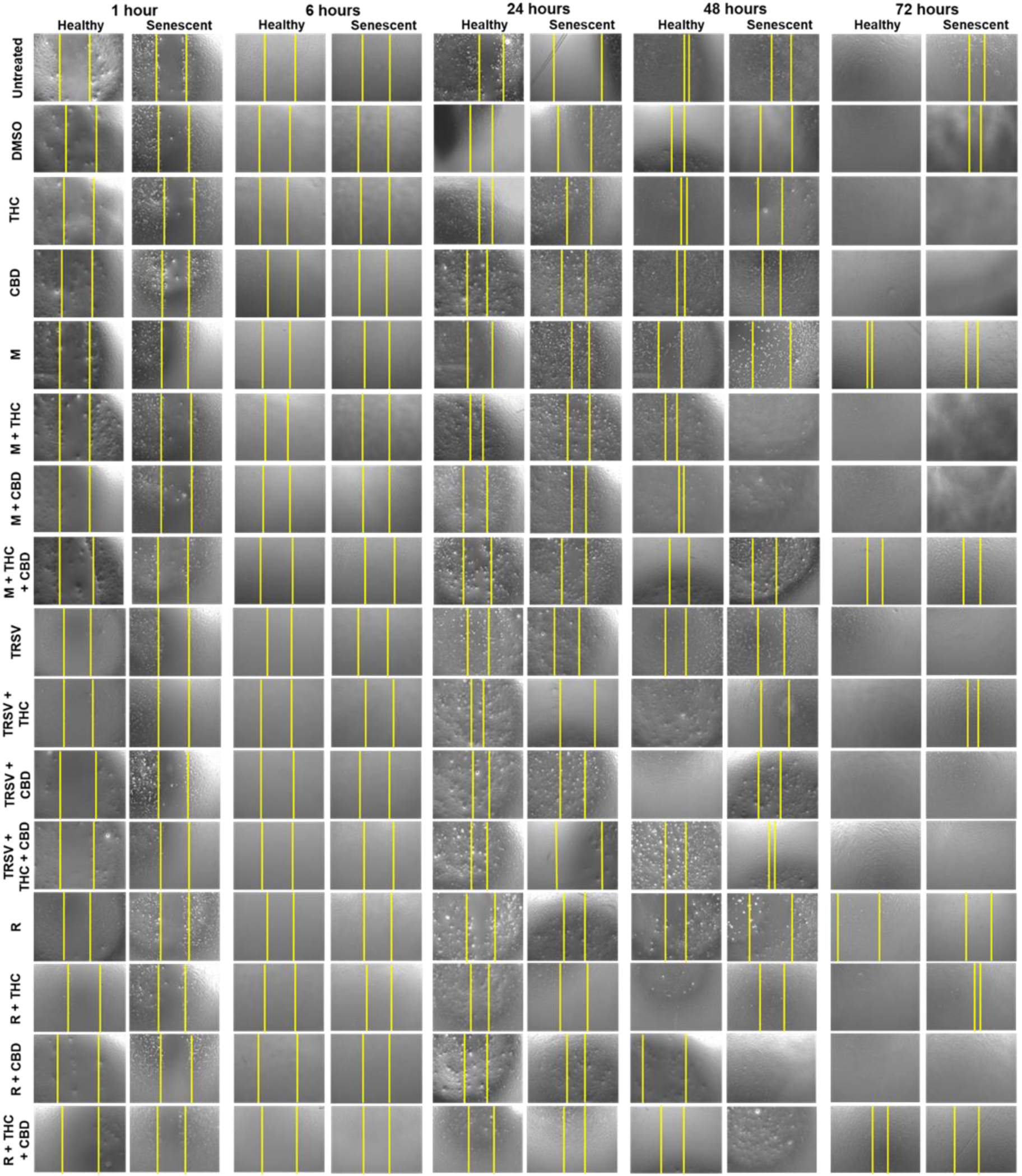 Ijms 23 08804 g004 550