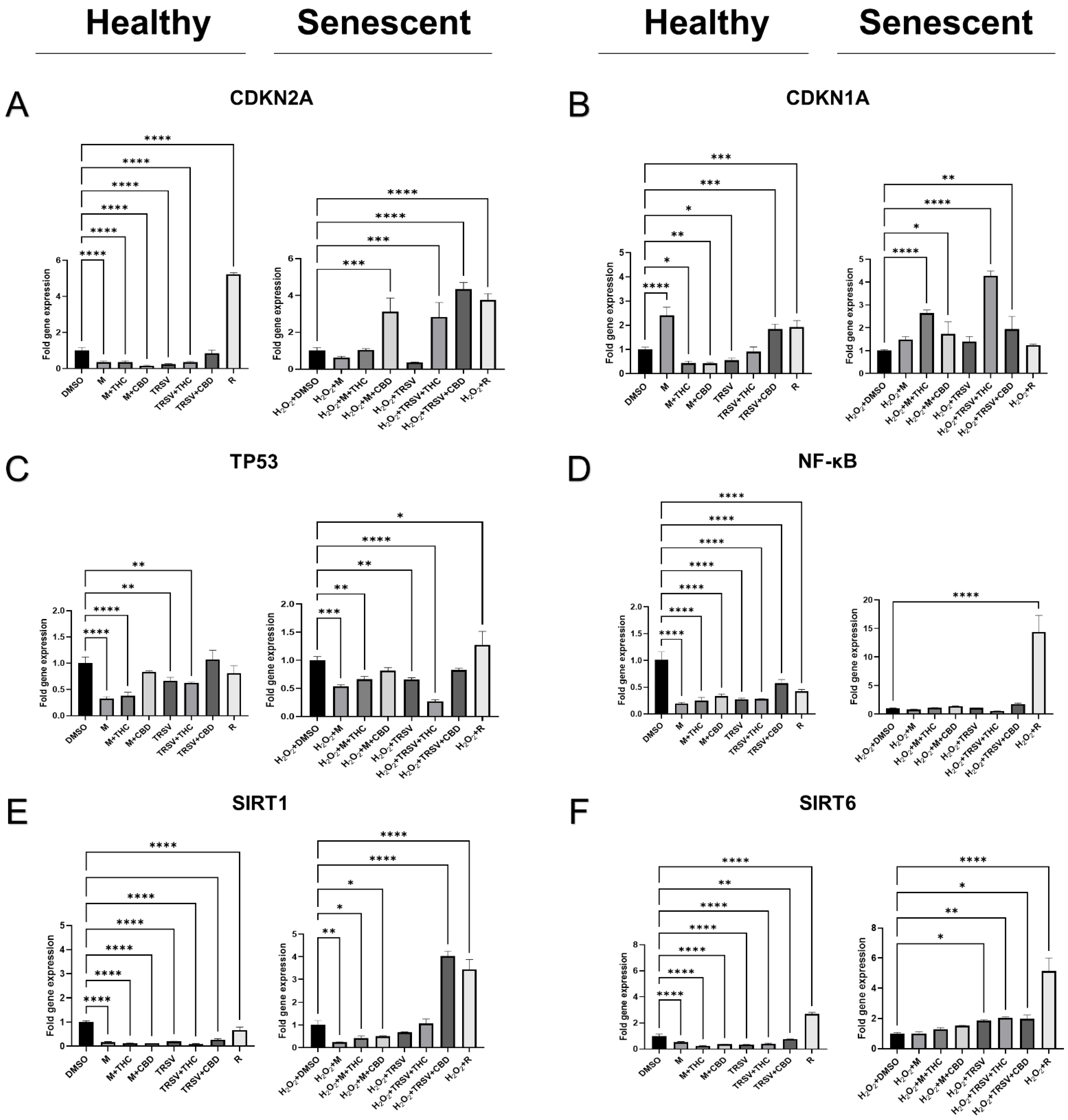 Ijms 23 08804 g006 550