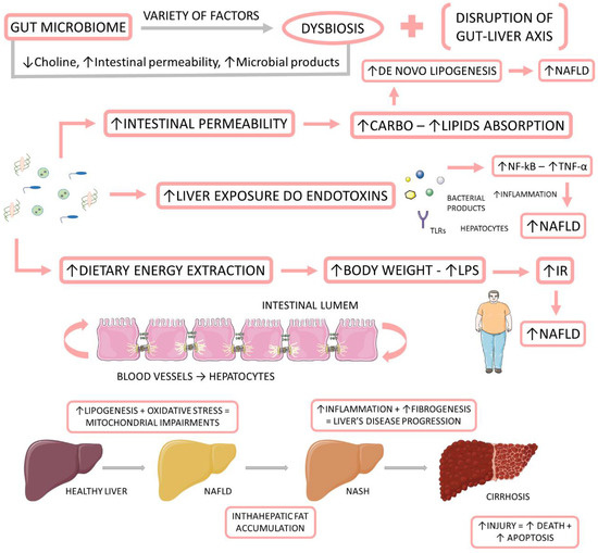 The Effects of Probiotics, Prebiotics and Synbiotics in Non