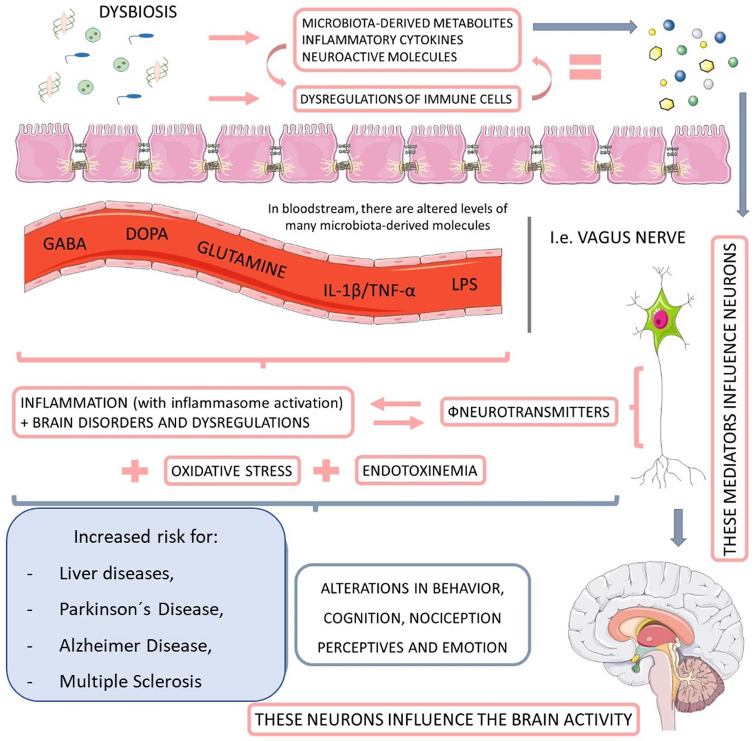 The Effects of Probiotics, Prebiotics and Synbiotics in Non
