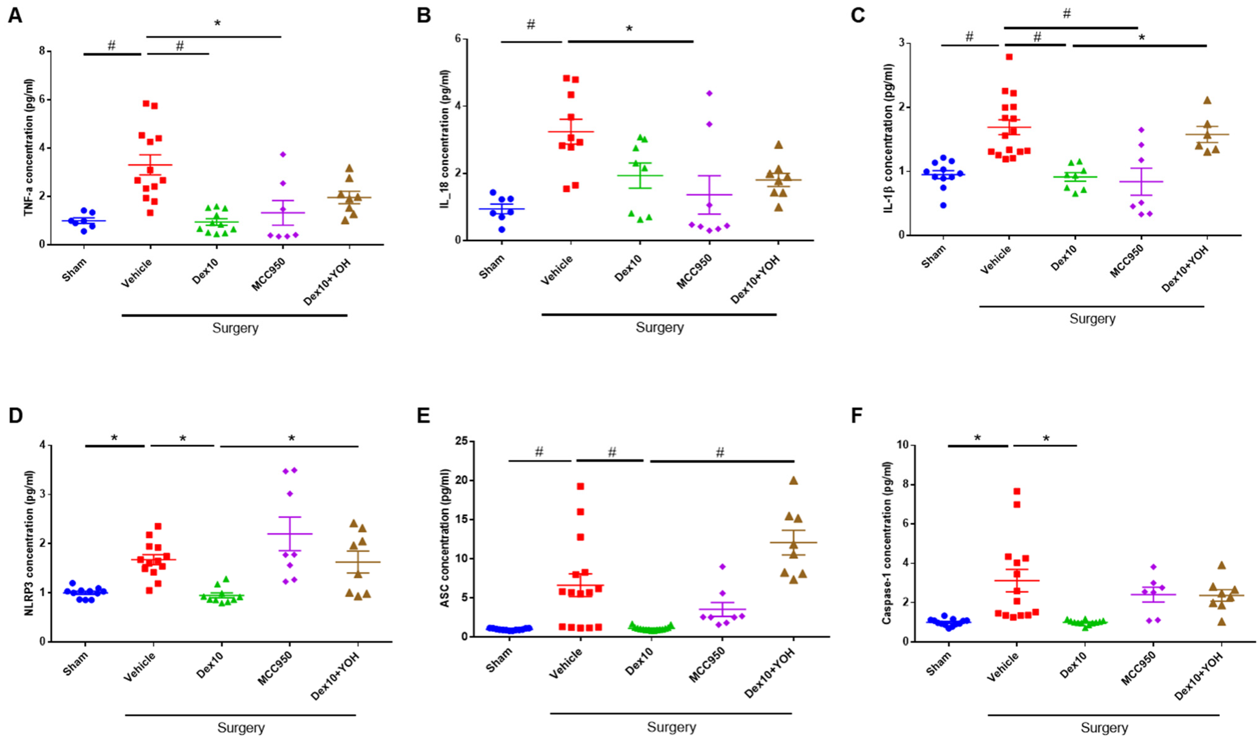 Ijms 23 08806 g003 550