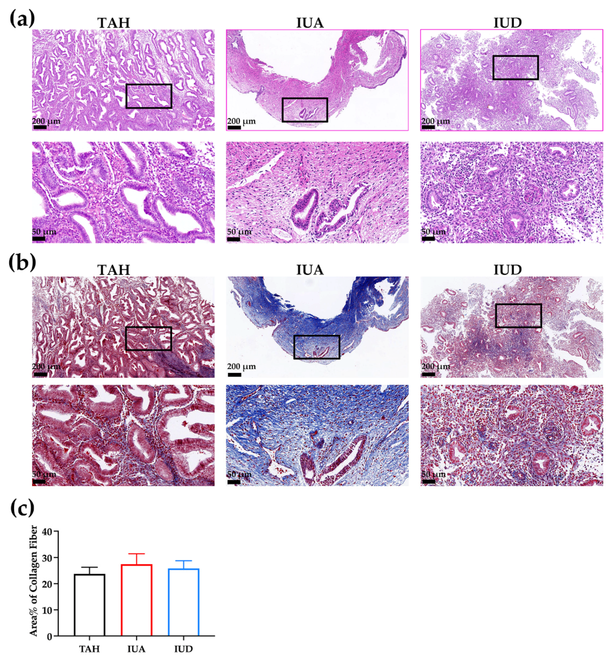 Ijms 23 08808 g001 550