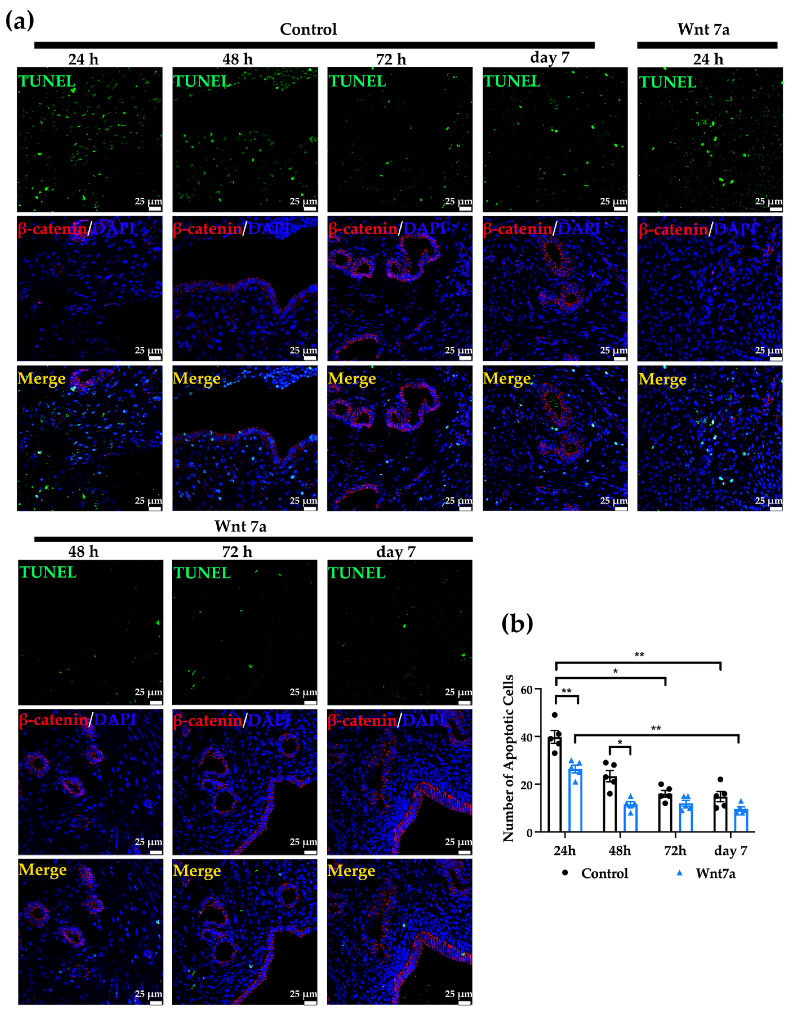 Ijms 23 08808 g005 550