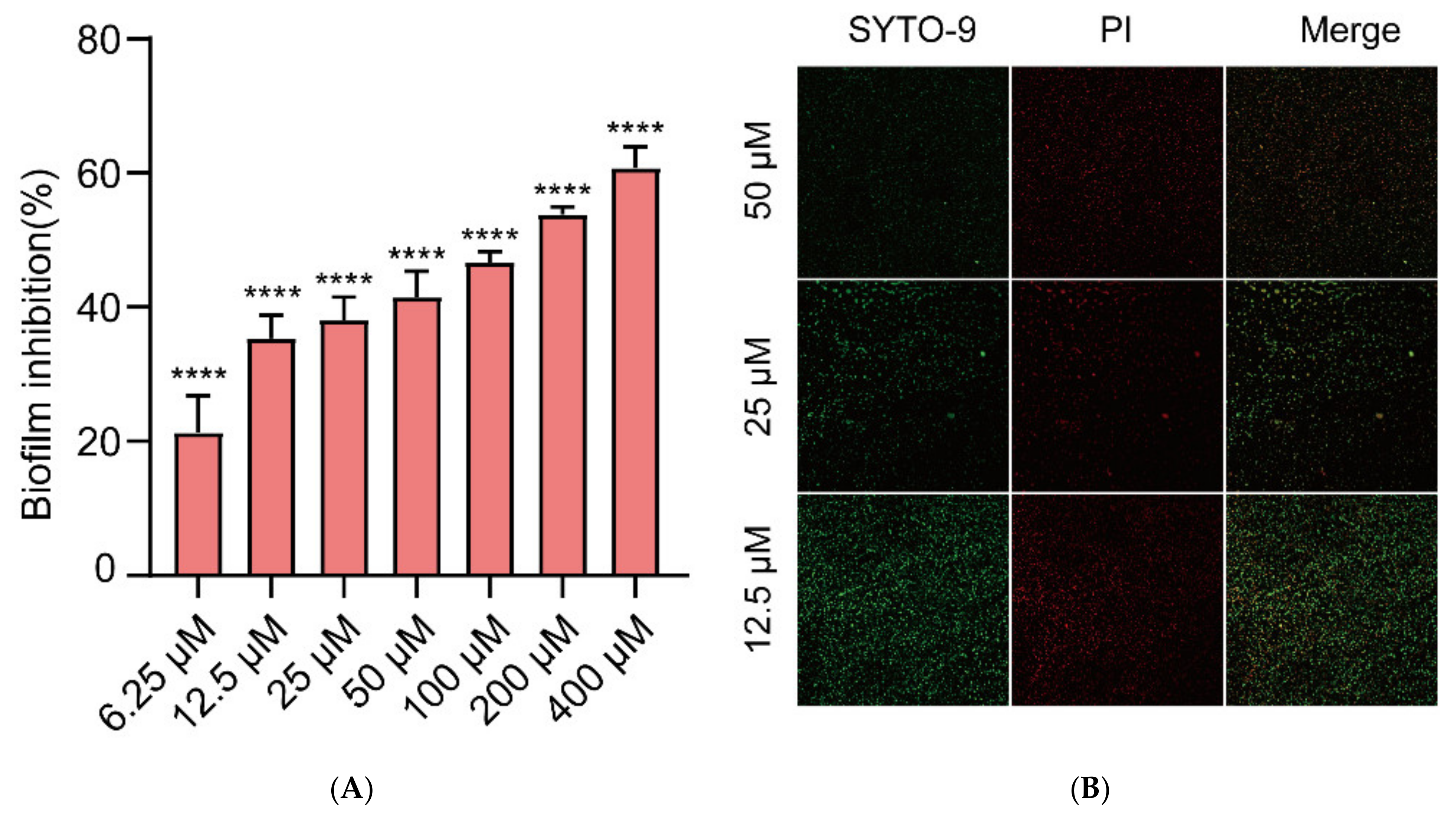 Ijms 23 08809 g002 550