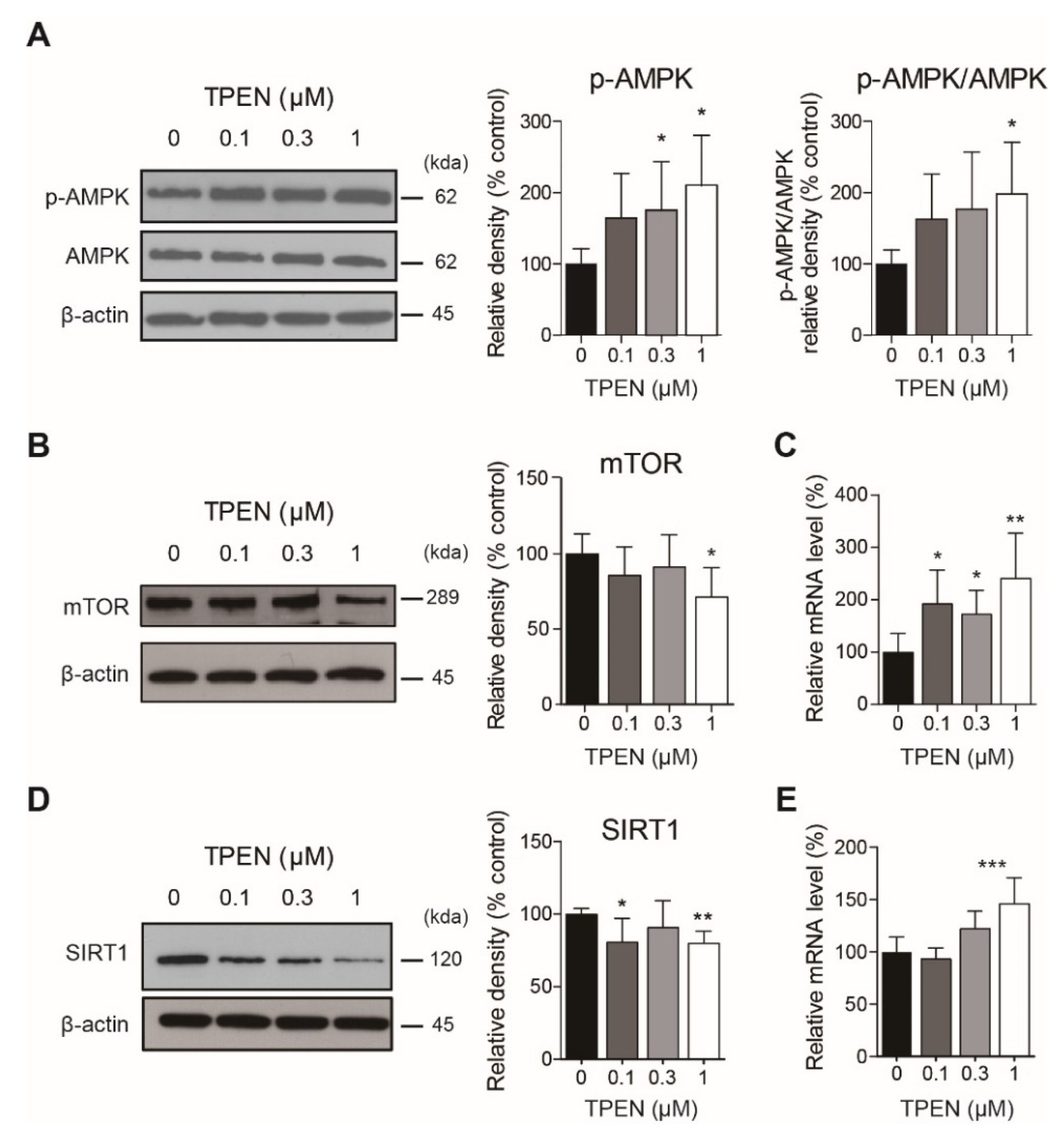 Ijms 23 08811 g002 550