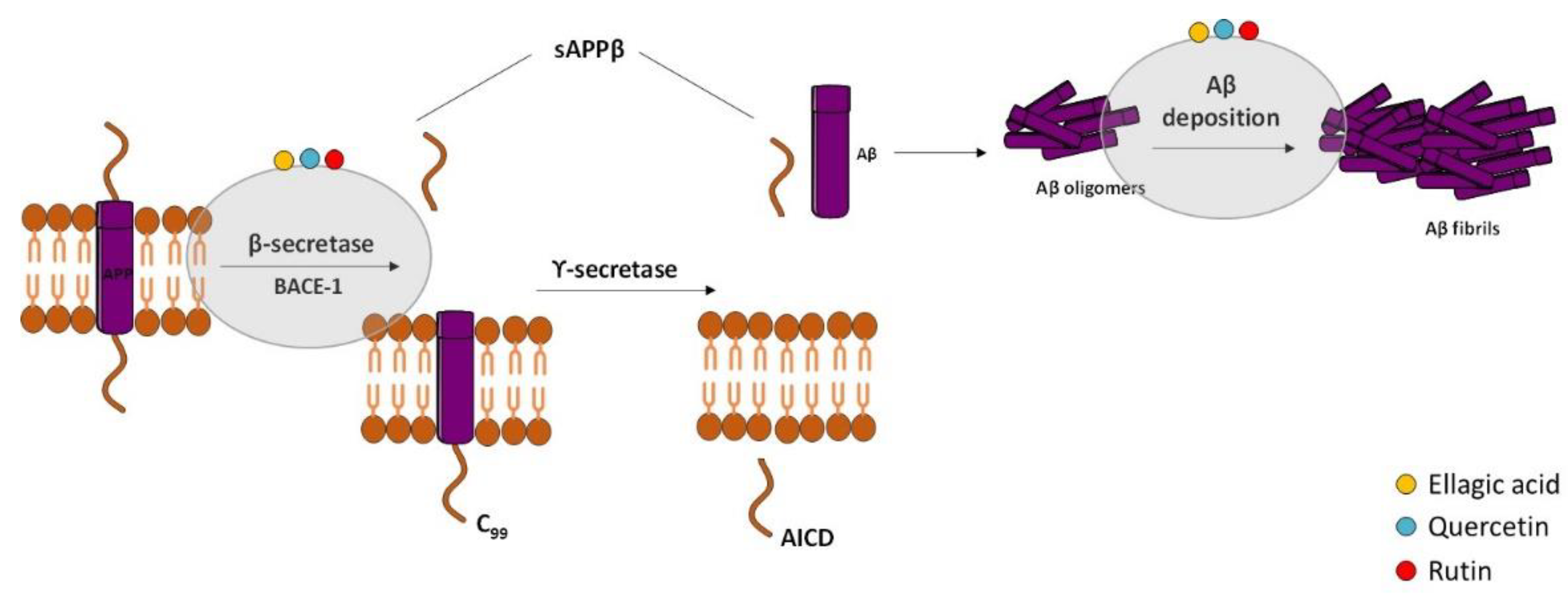 Ijms 23 08812 g002 Ijms 23 08812 g002