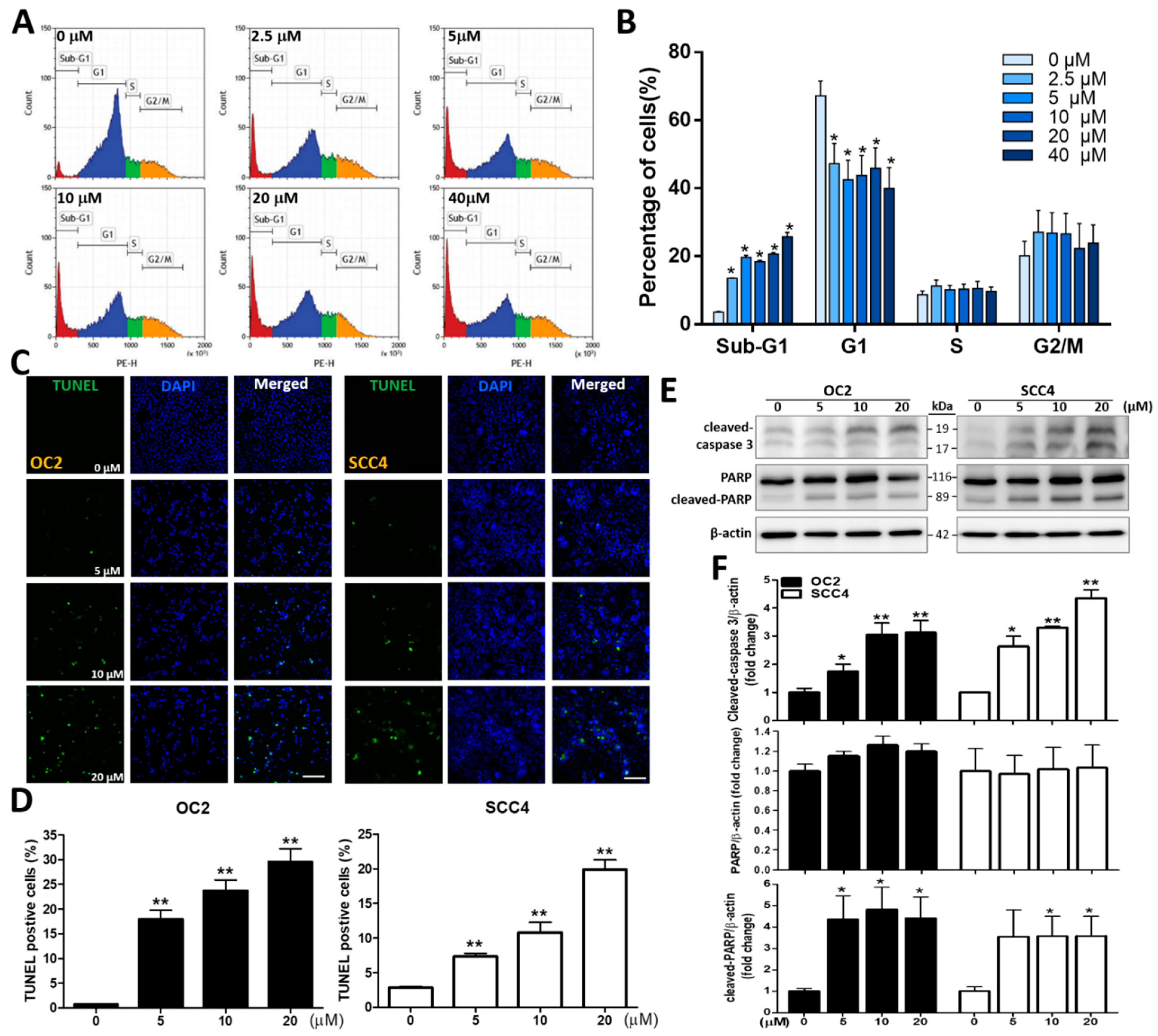 Ijms 23 08813 g002 550