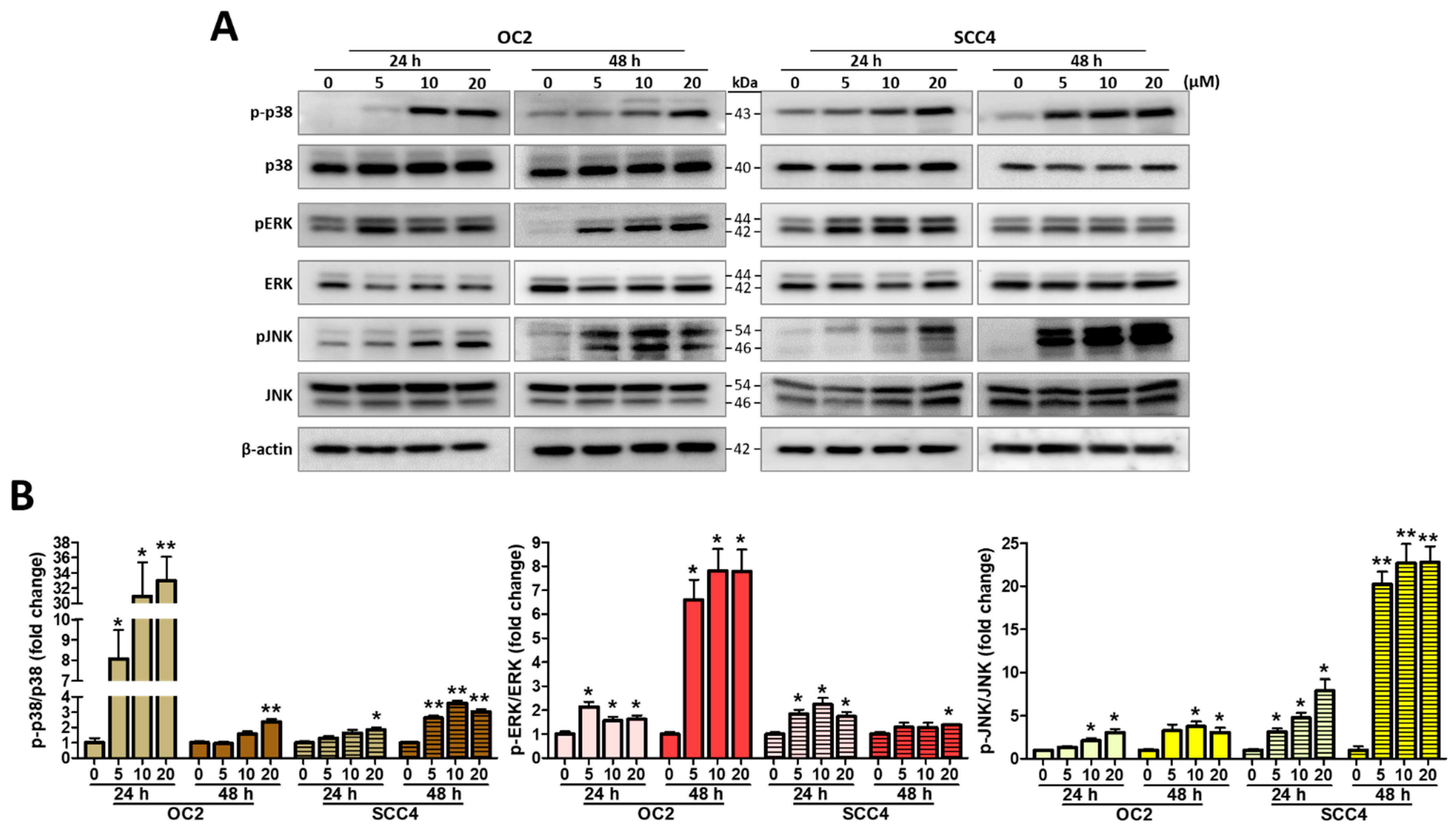 Ijms 23 08813 g005 550