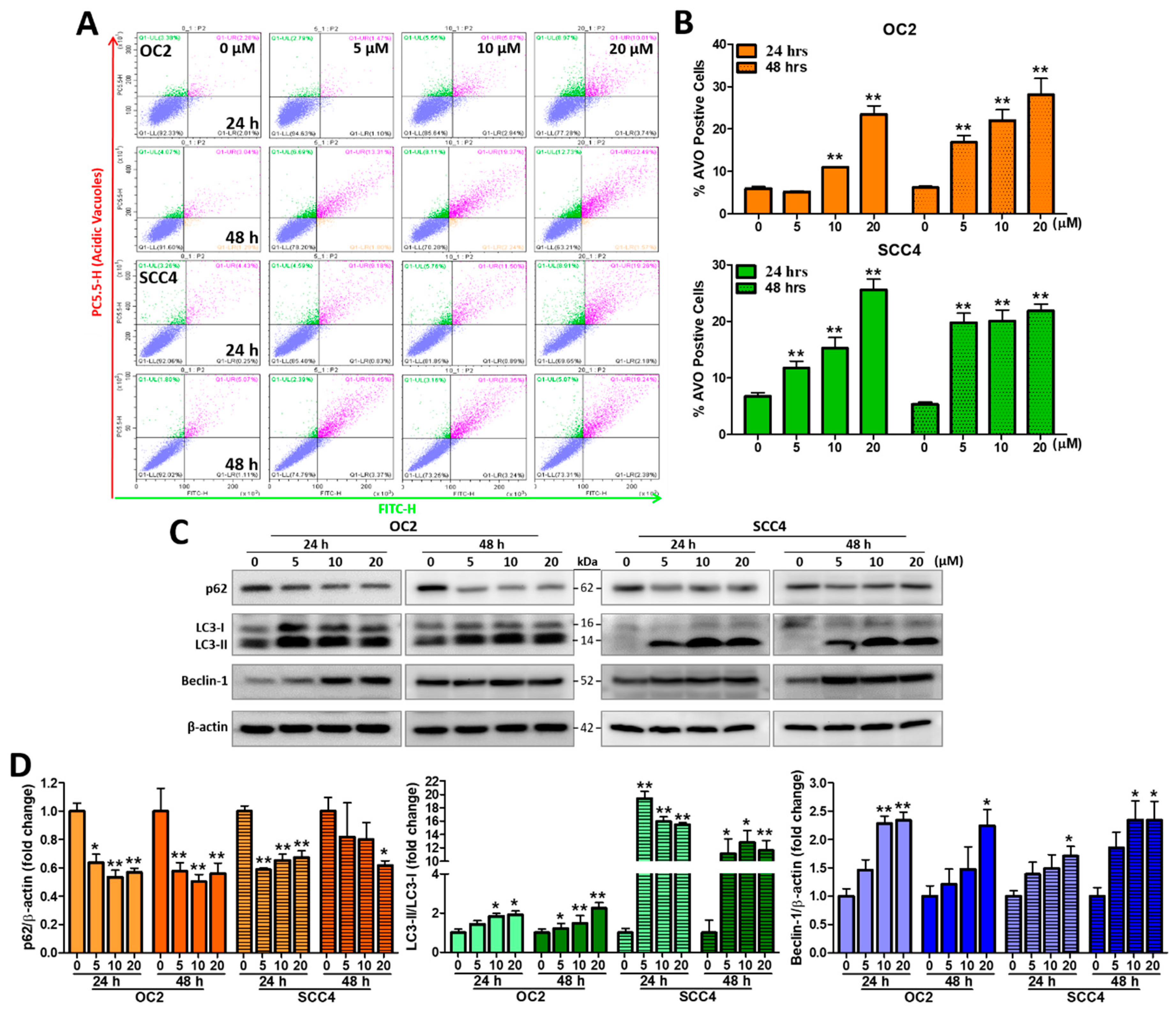 Ijms 23 08813 g006 550