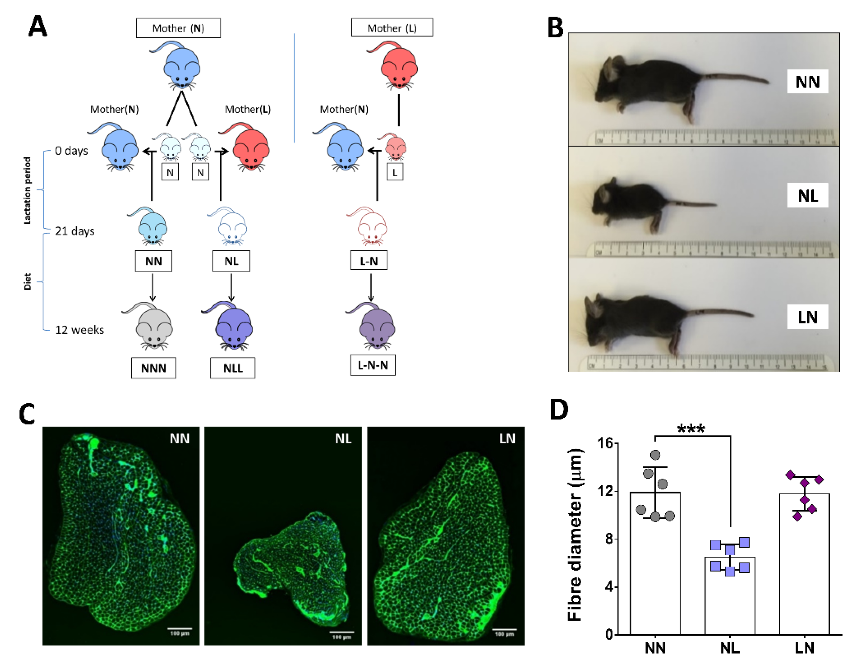 Ijms 23 08815 g001 Ijms 23 08815 g001