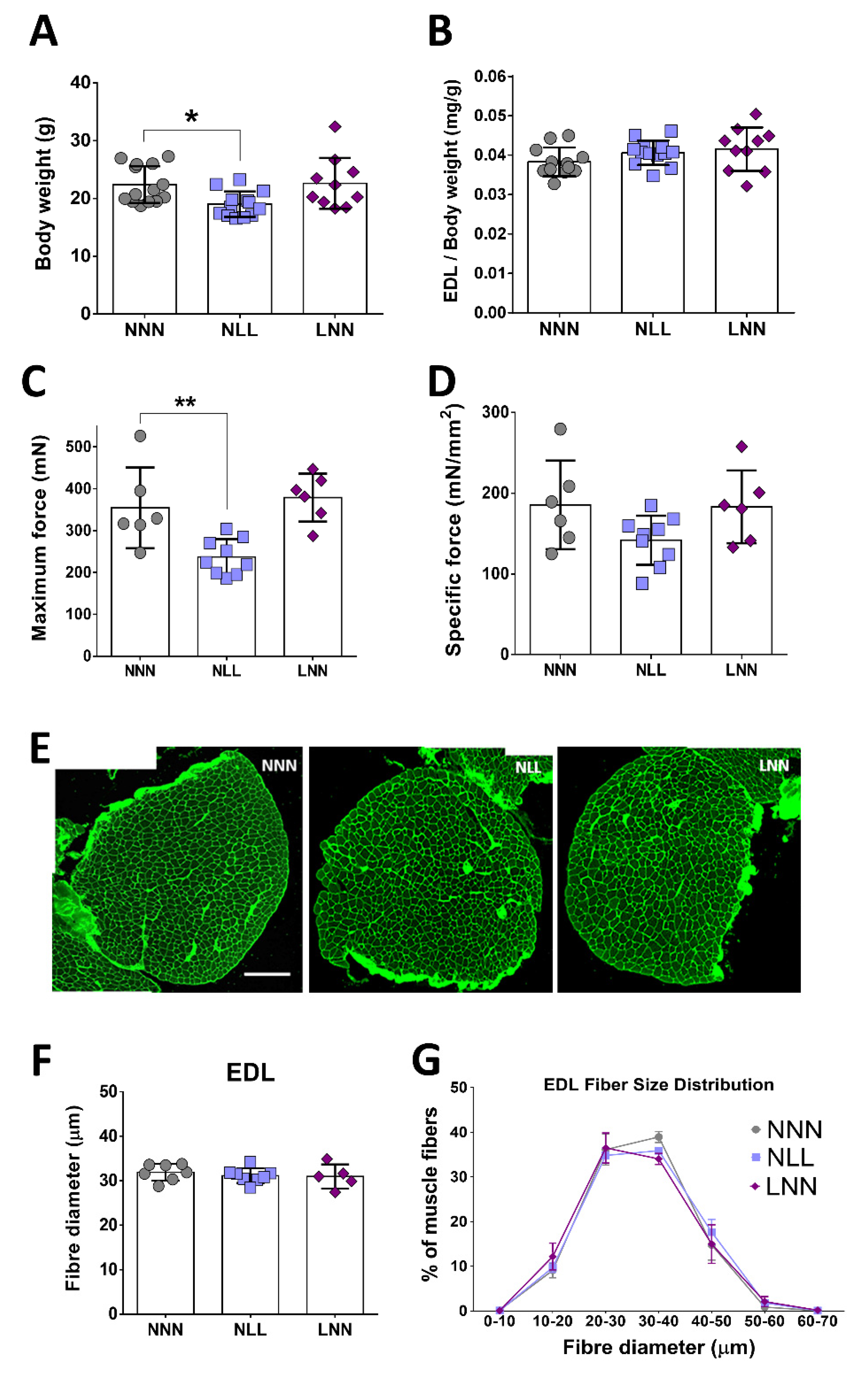 Ijms 23 08815 g002 Ijms 23 08815 g002