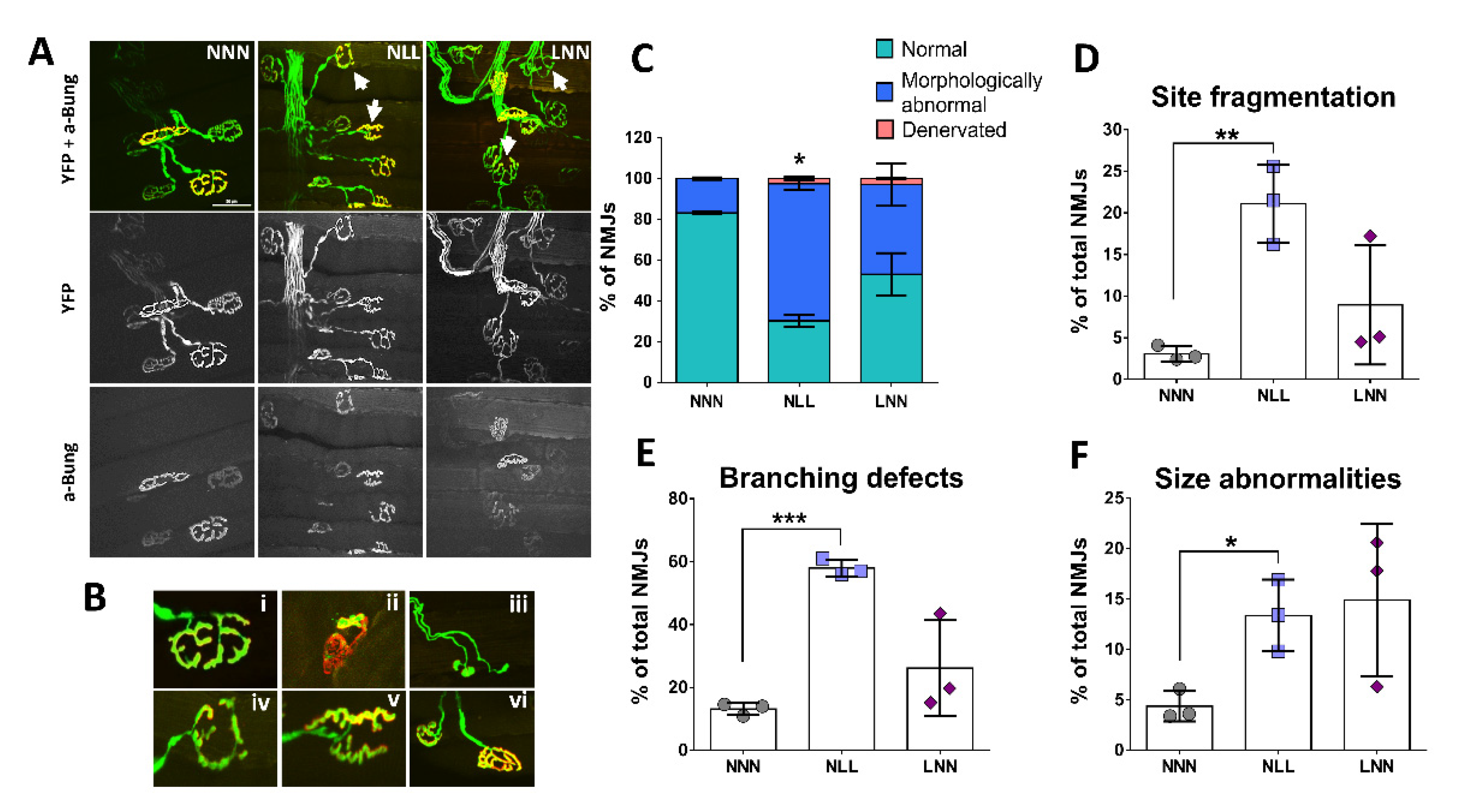 Ijms 23 08815 g003 Ijms 23 08815 g003