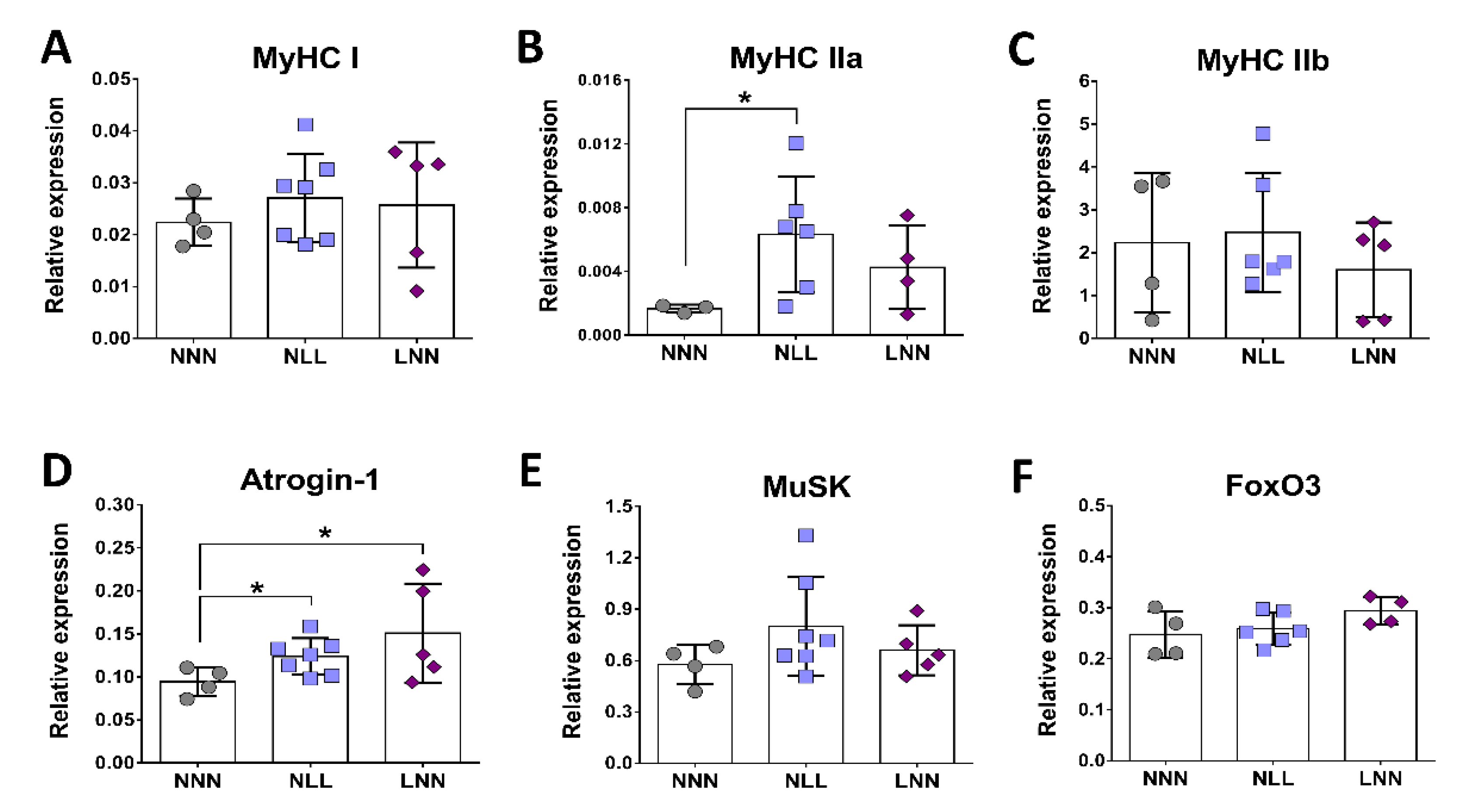 Ijms 23 08815 g004 Ijms 23 08815 g004