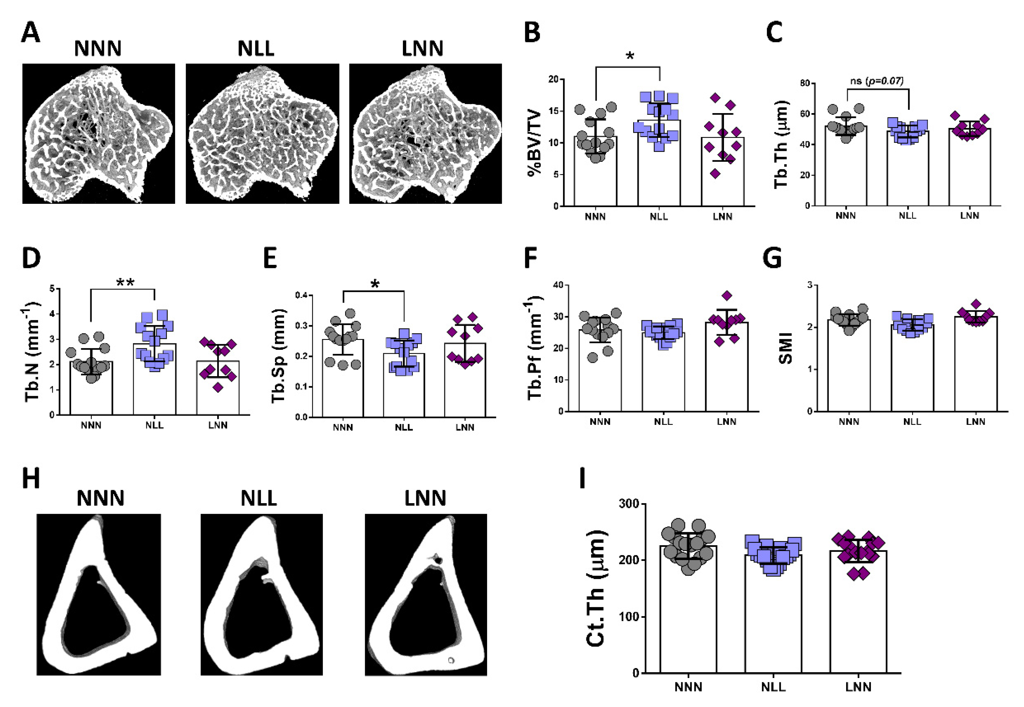 Ijms 23 08815 g005 Ijms 23 08815 g005