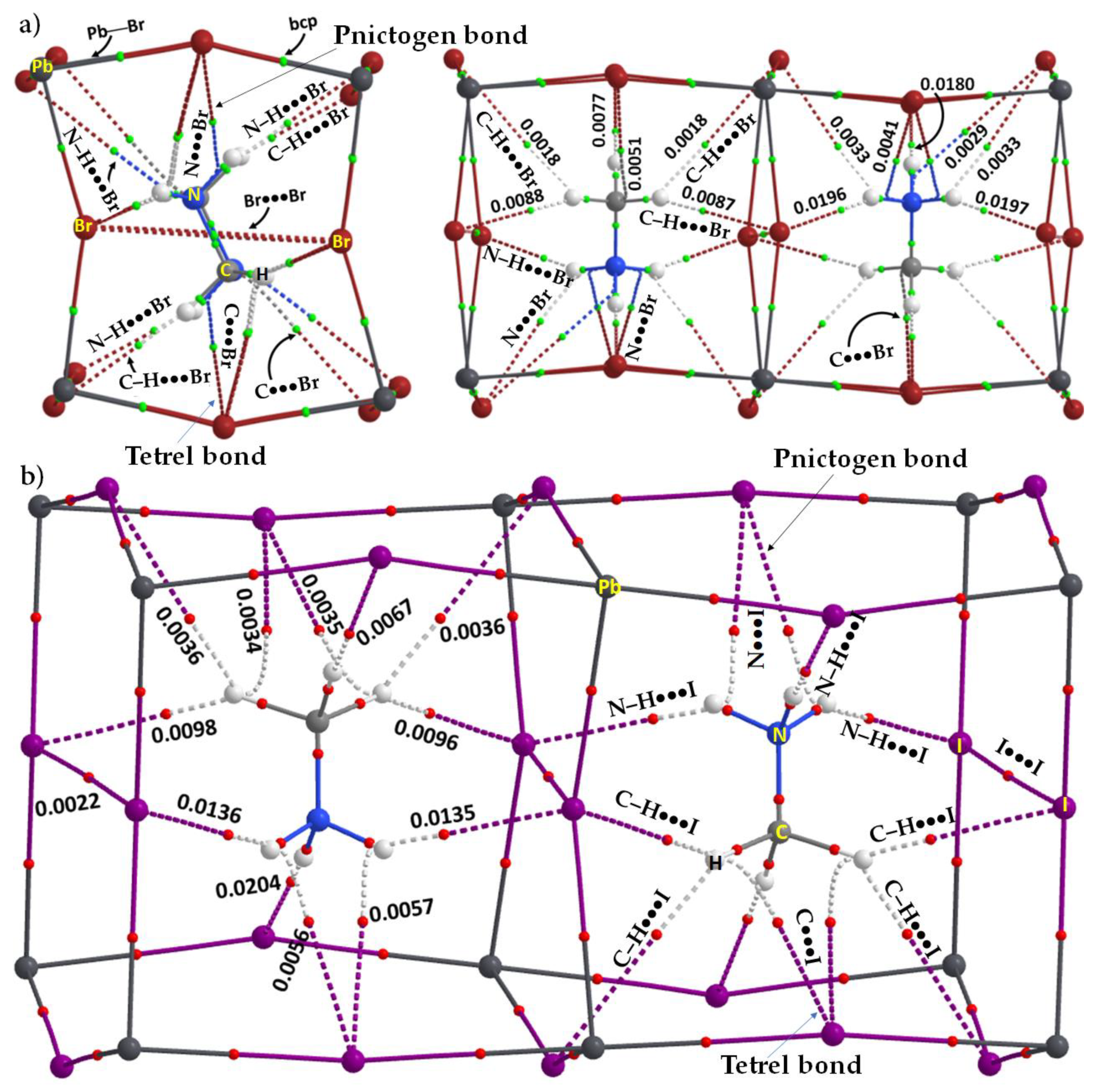 Ijms 23 08816 g004 Ijms 23 08816 g004