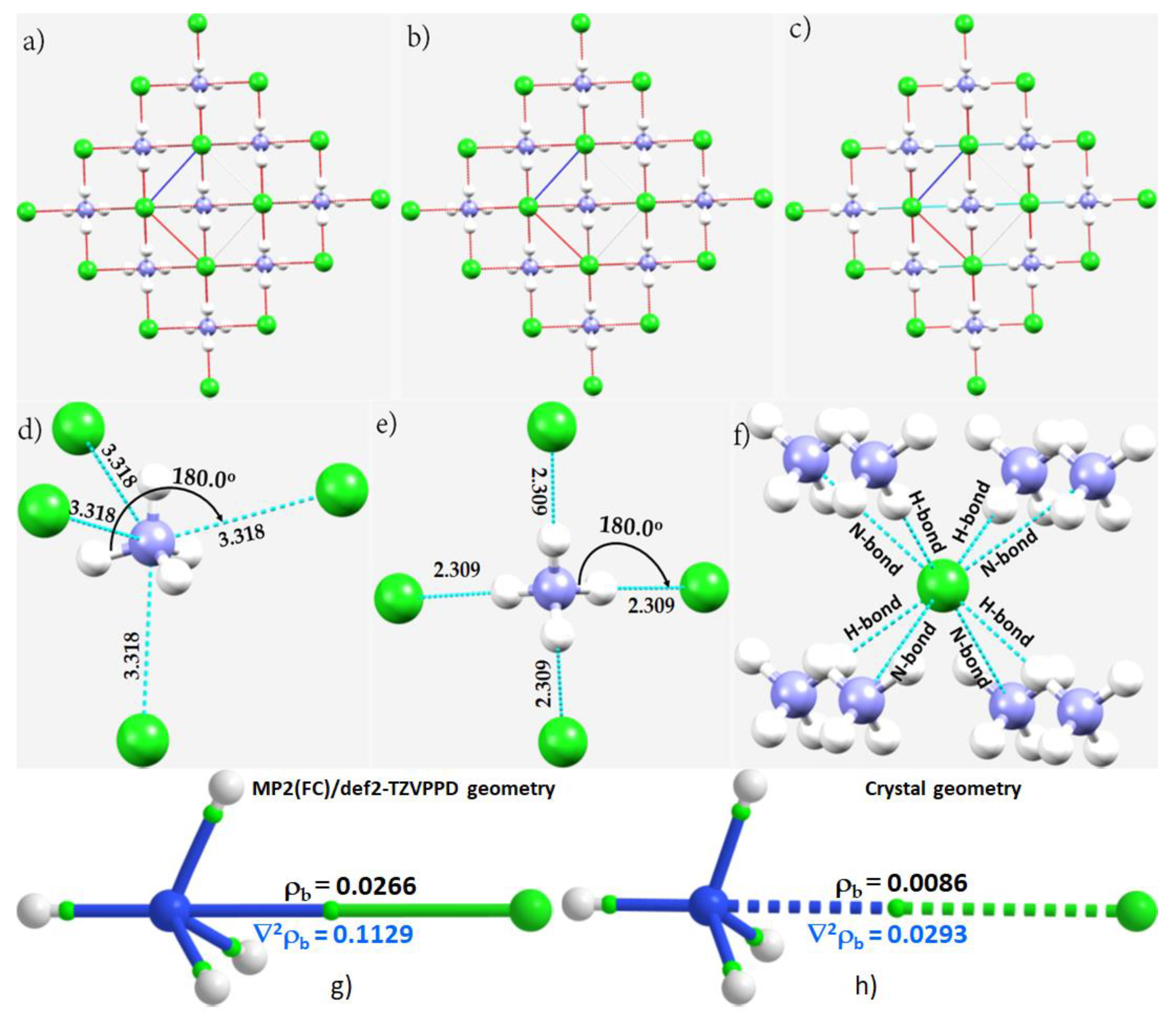Ijms 23 08816 g009 Ijms 23 08816 g009