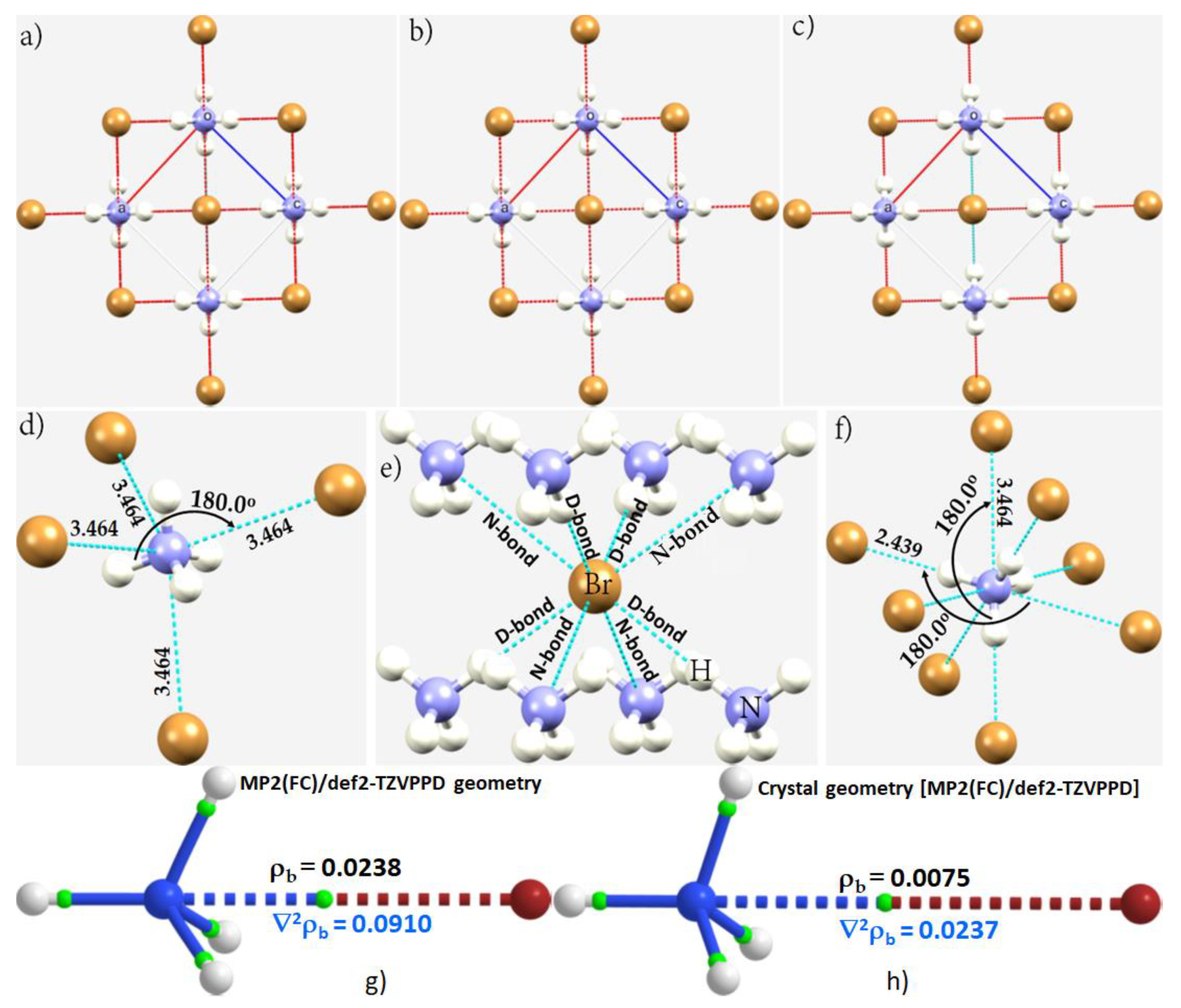 Ijms 23 08816 g010 Ijms 23 08816 g010