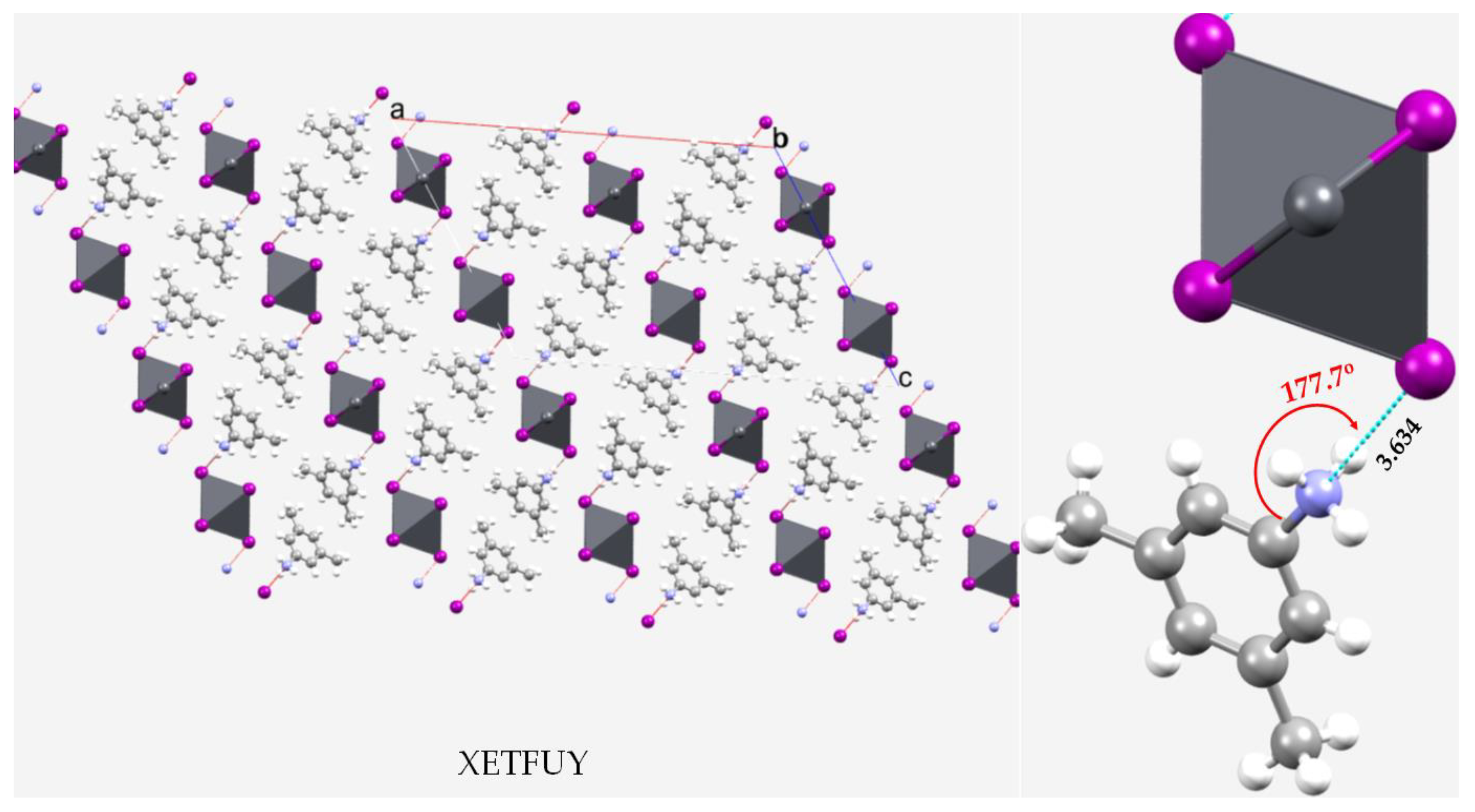 Ijms 23 08816 g024 Ijms 23 08816 g024