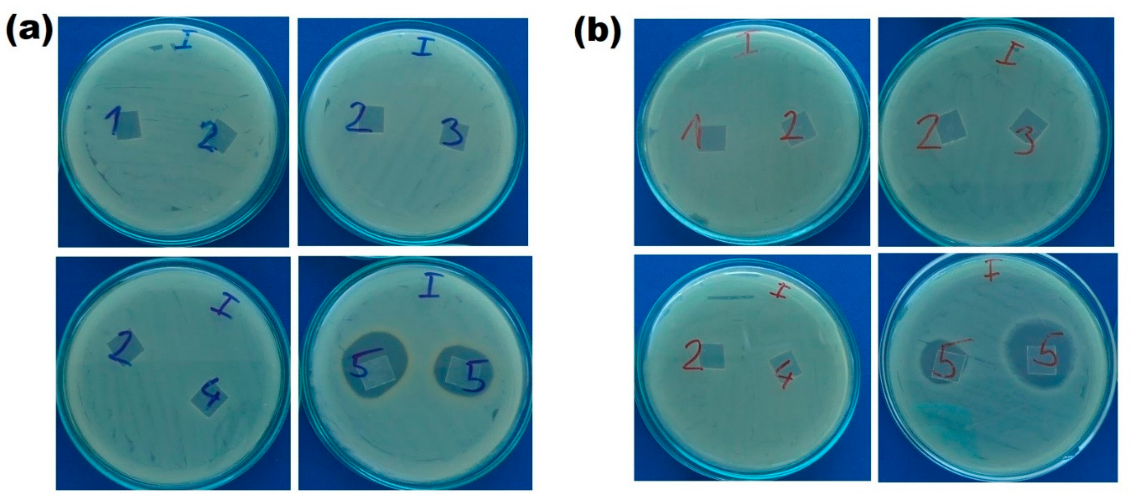 Ijms 23 08821 g008 550