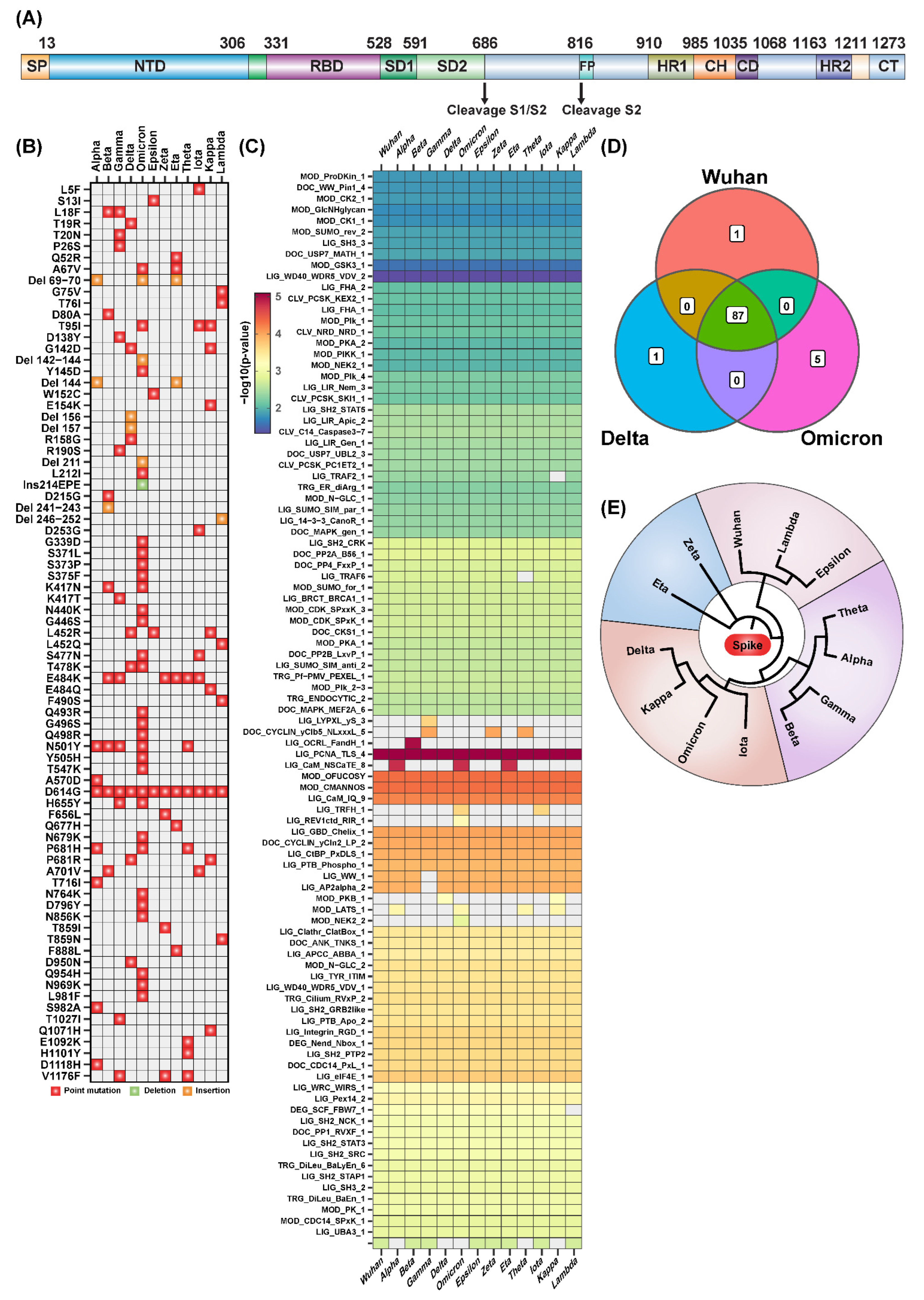 Ijms 23 08822 g001 550