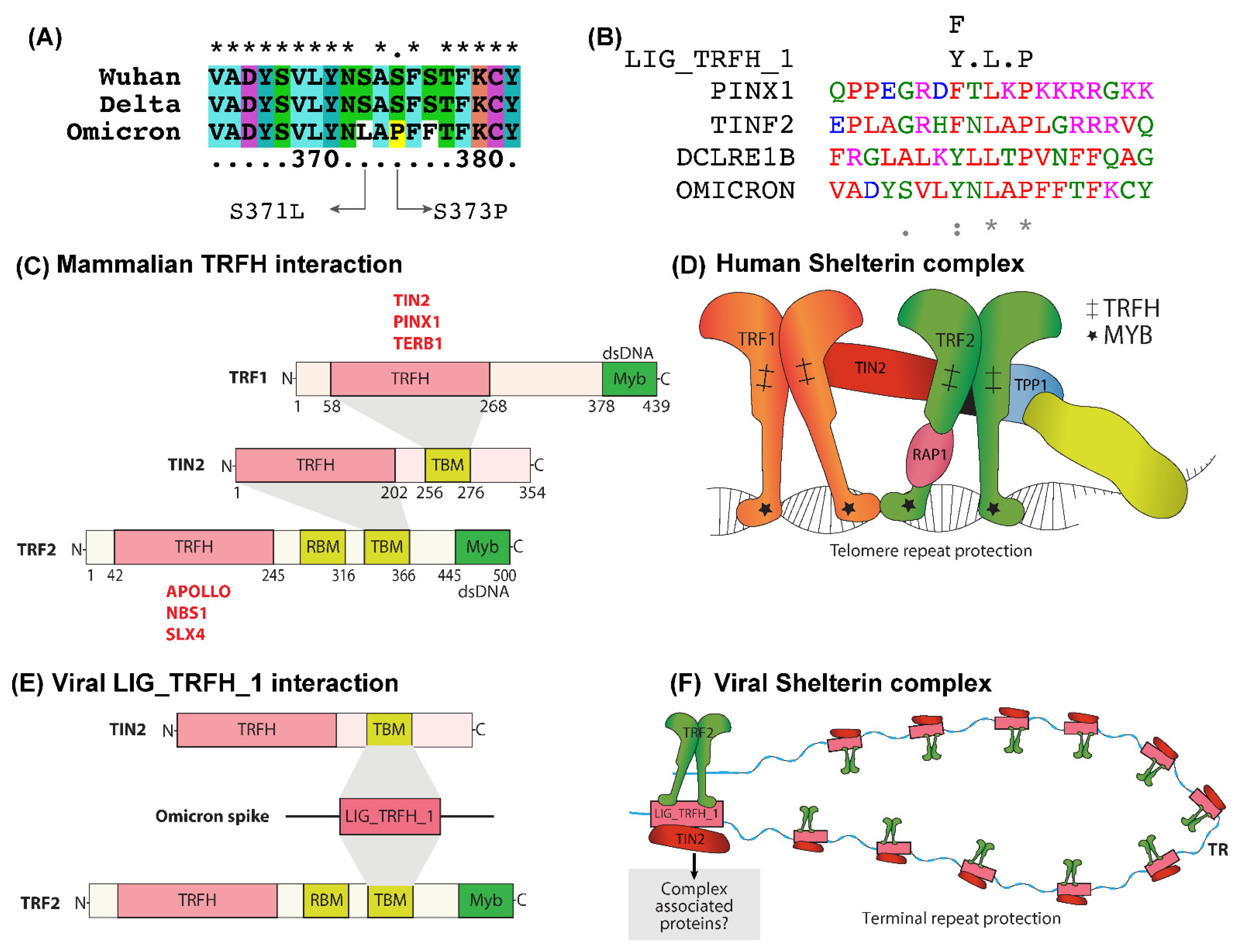 Ijms 23 08822 g002 550