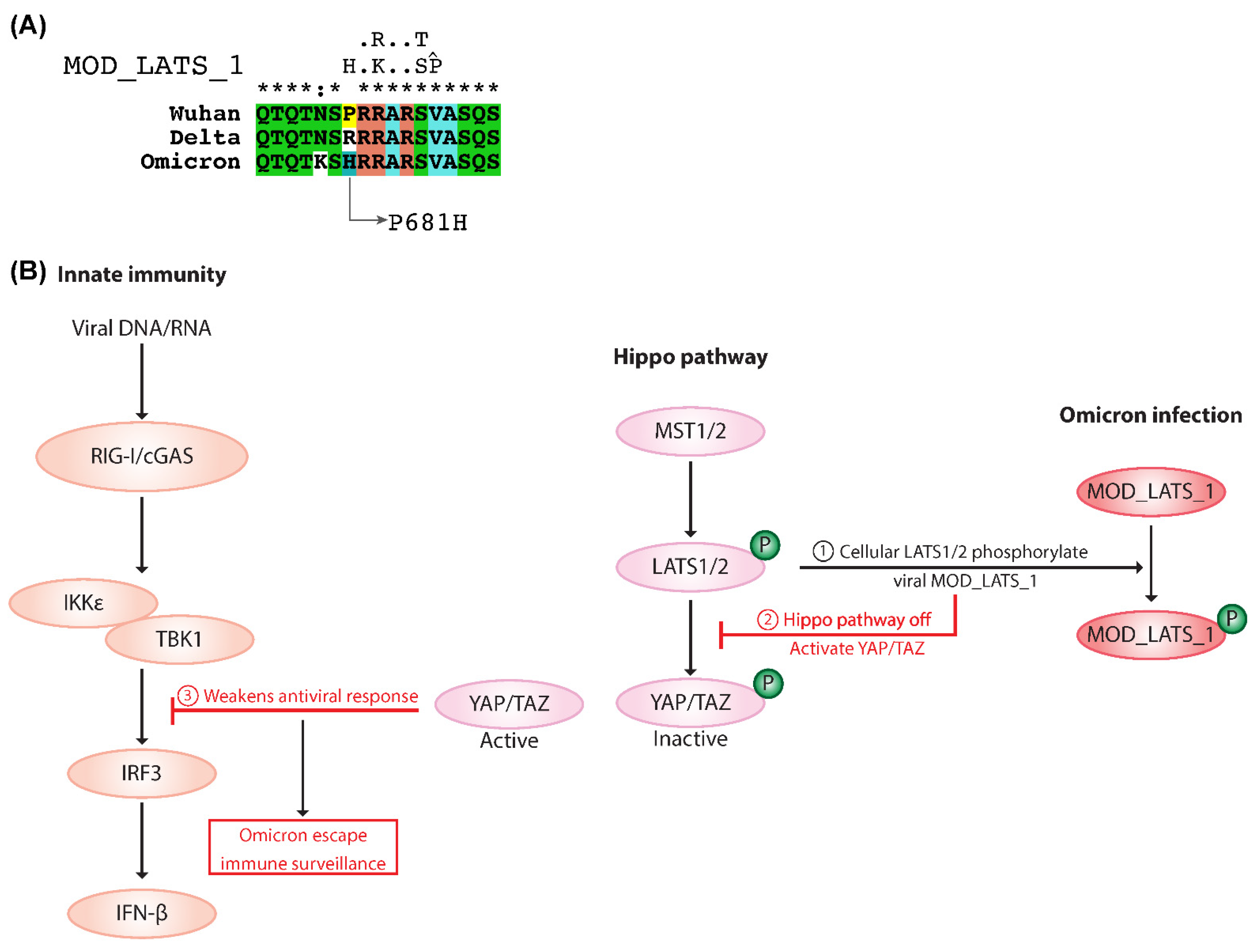 Ijms 23 08822 g005 550