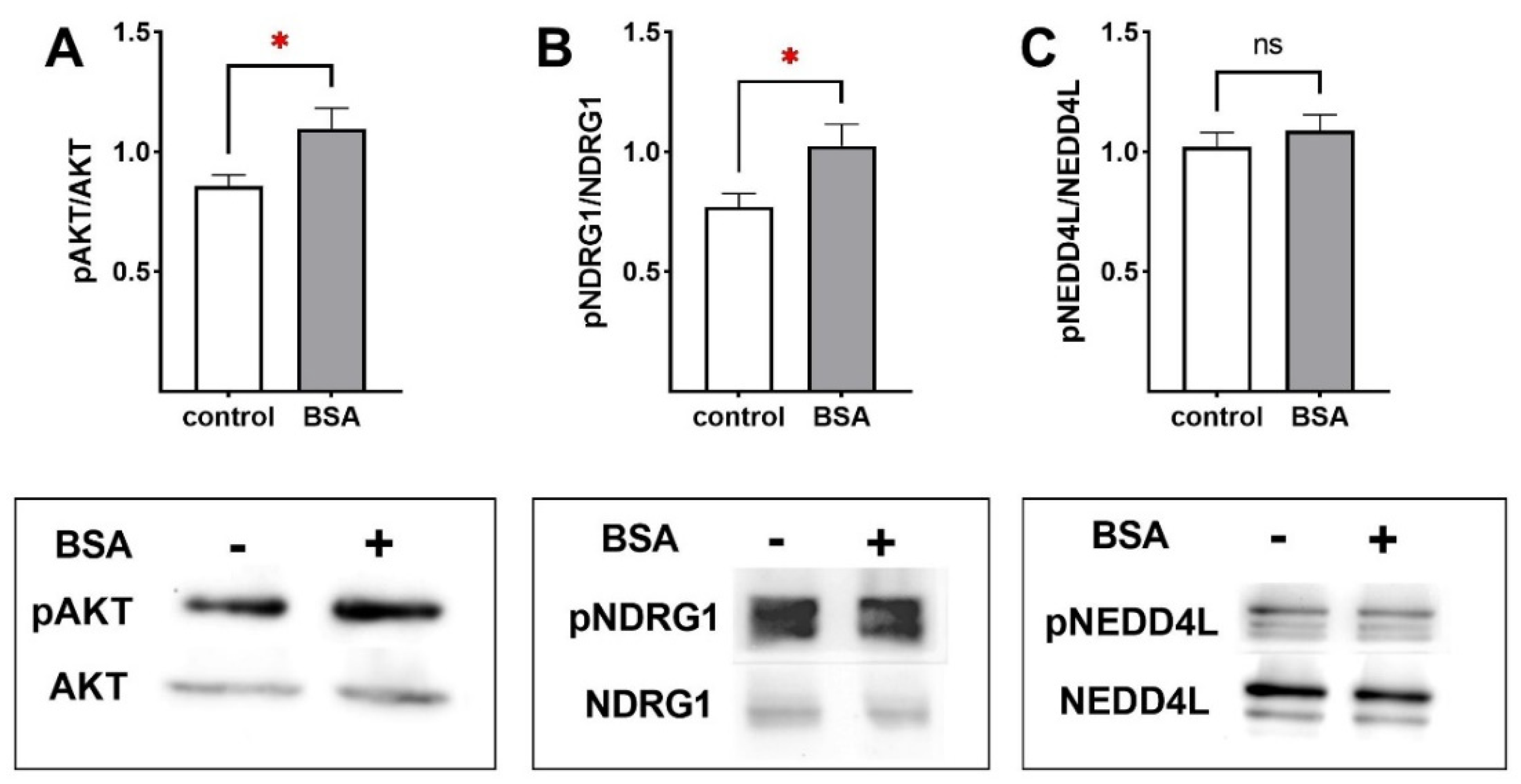 Ijms 23 08823 g007 550