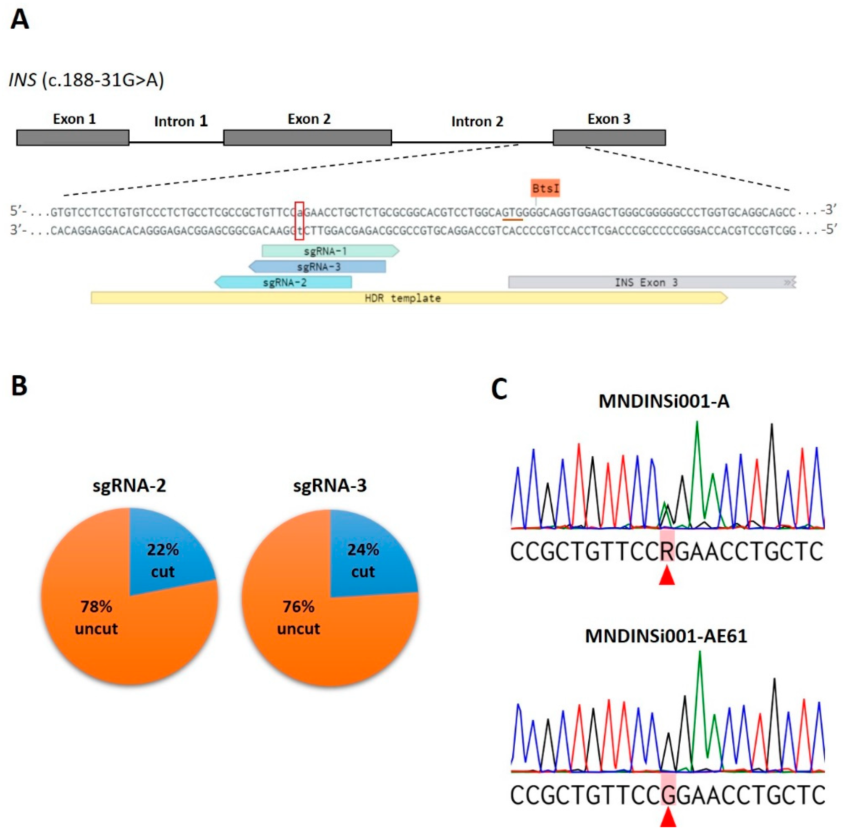 Ijms 23 08824 g001 550
