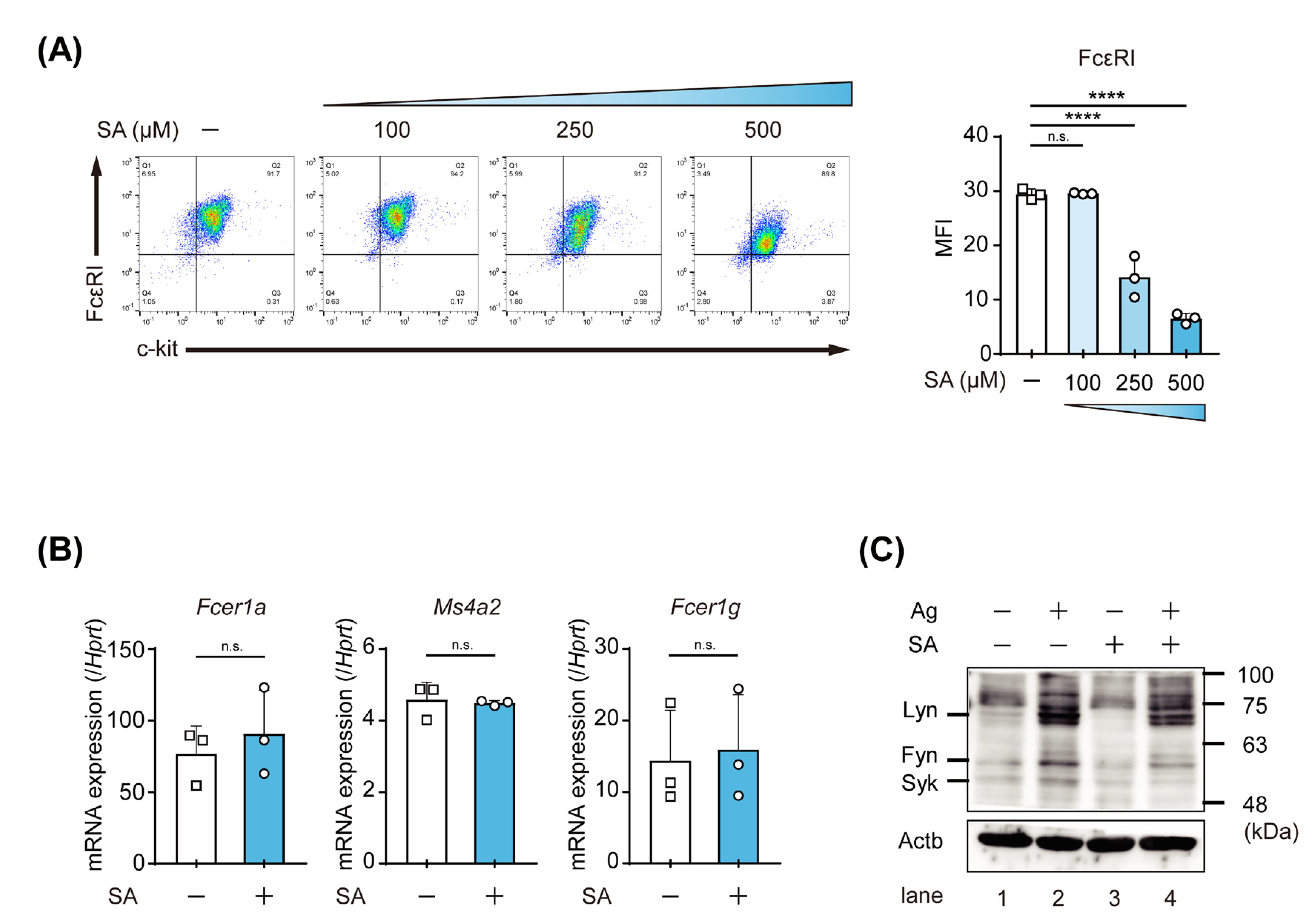 Ijms 23 08826 g003 550
