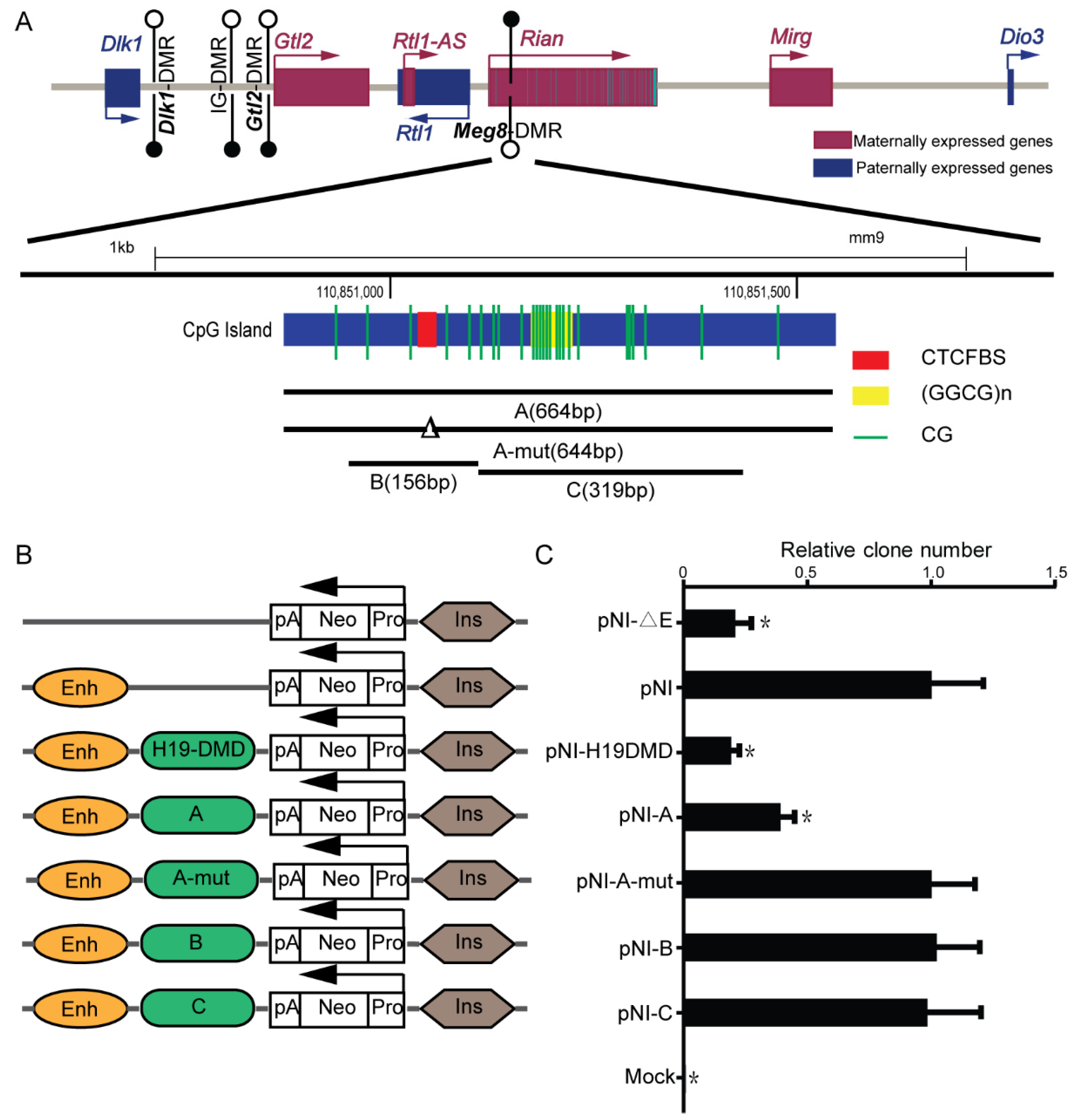 Ijms 23 08828 g001 Ijms 23 08828 g001