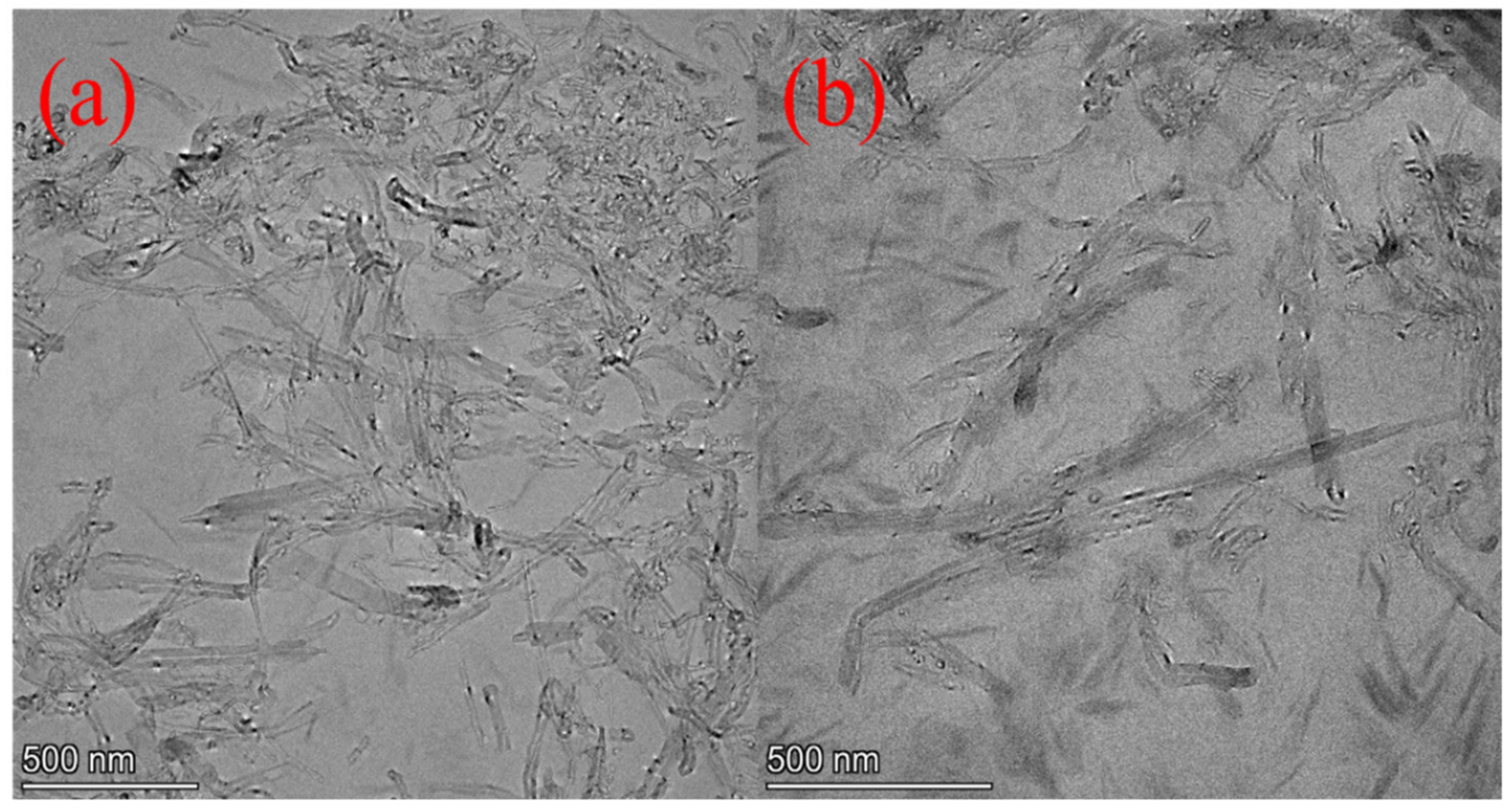 Ijms 23 08833 g003 550