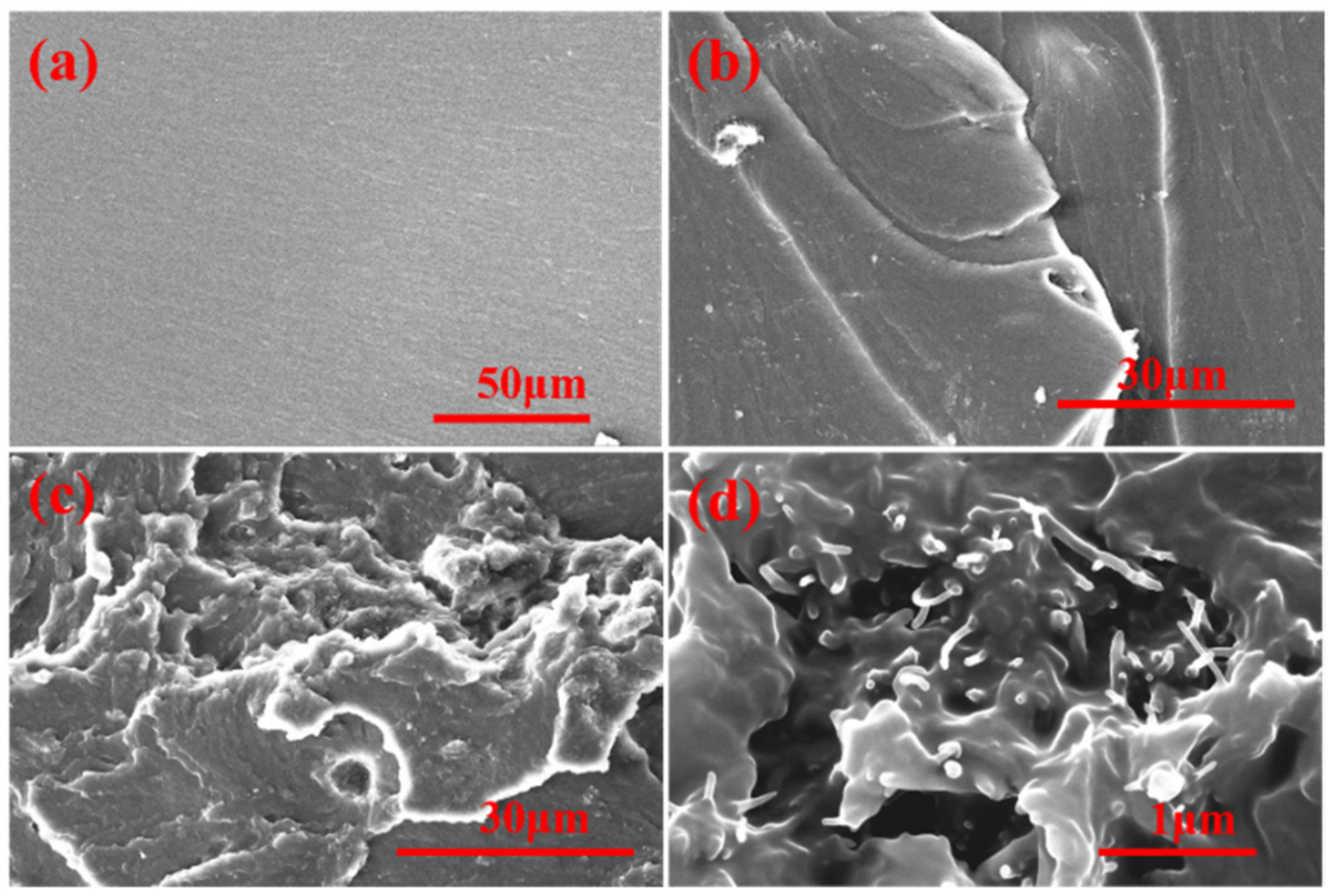 Ijms 23 08833 g005 550