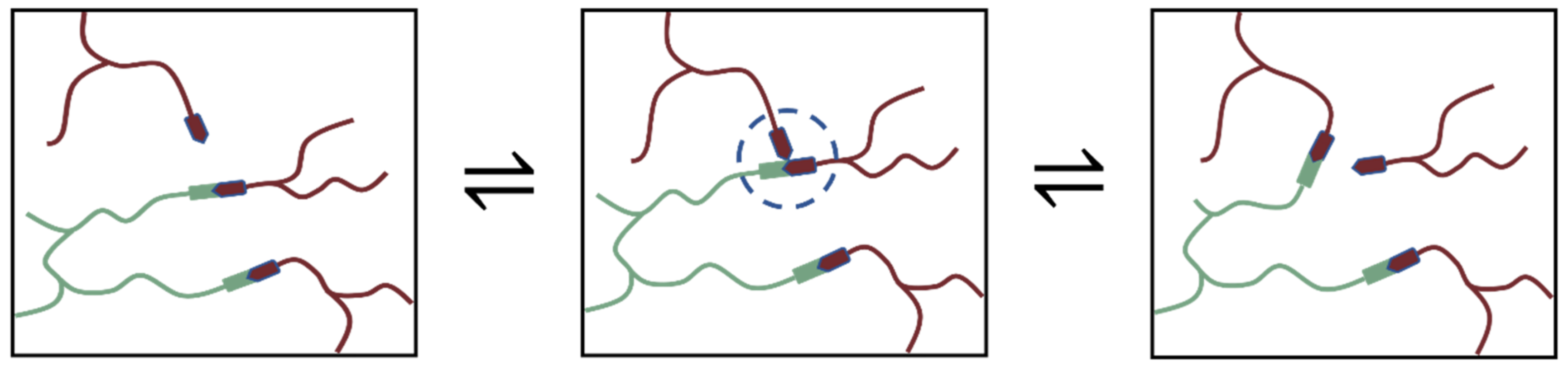 Ijms 23 08833 g010 550