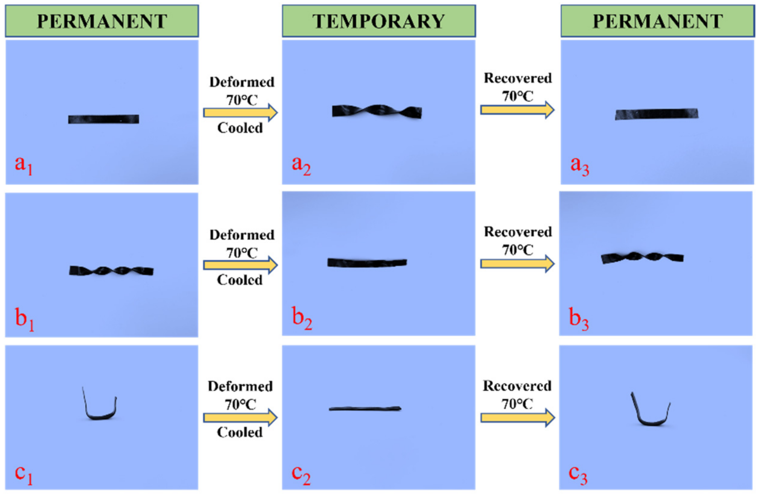 Ijms 23 08833 g012 550