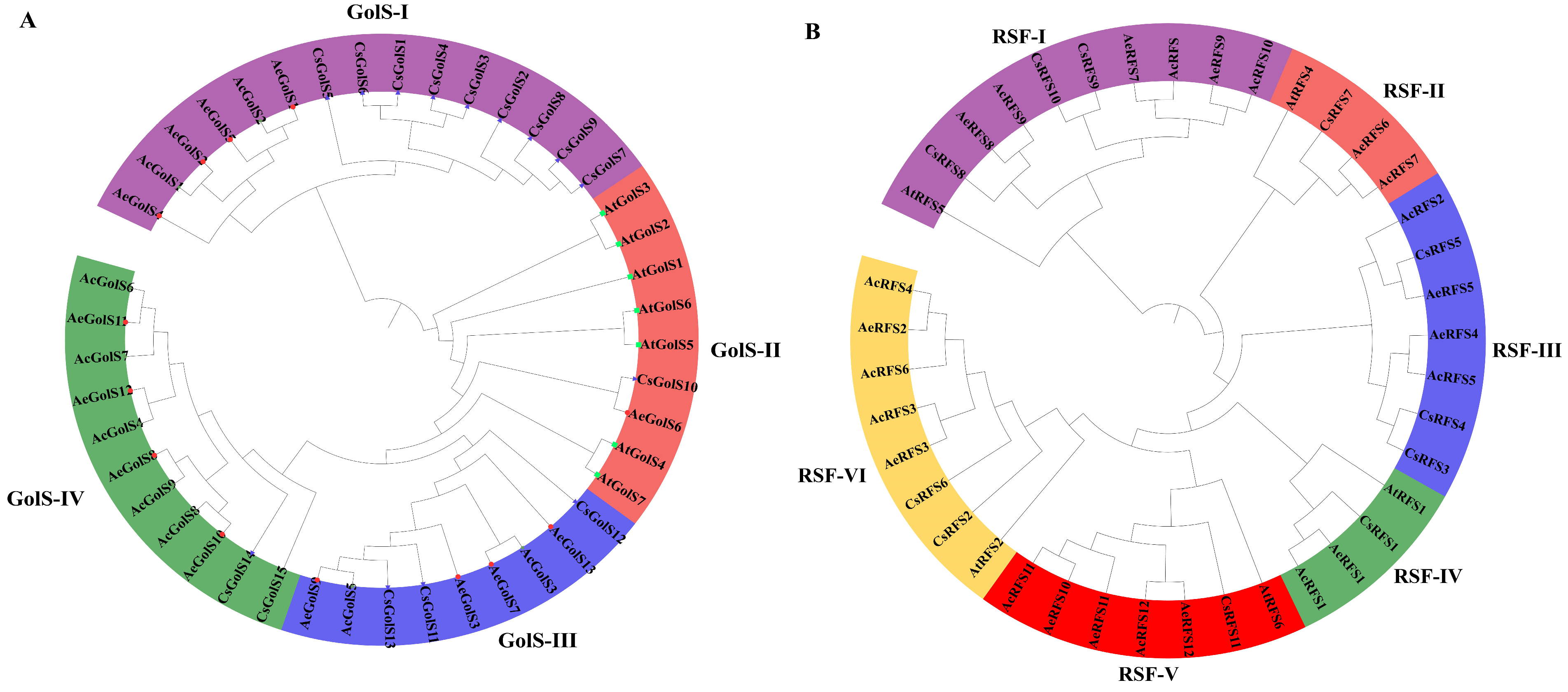 IJMS | Free Full-Text | Genome-Wide Expression Profiling Analysis 
