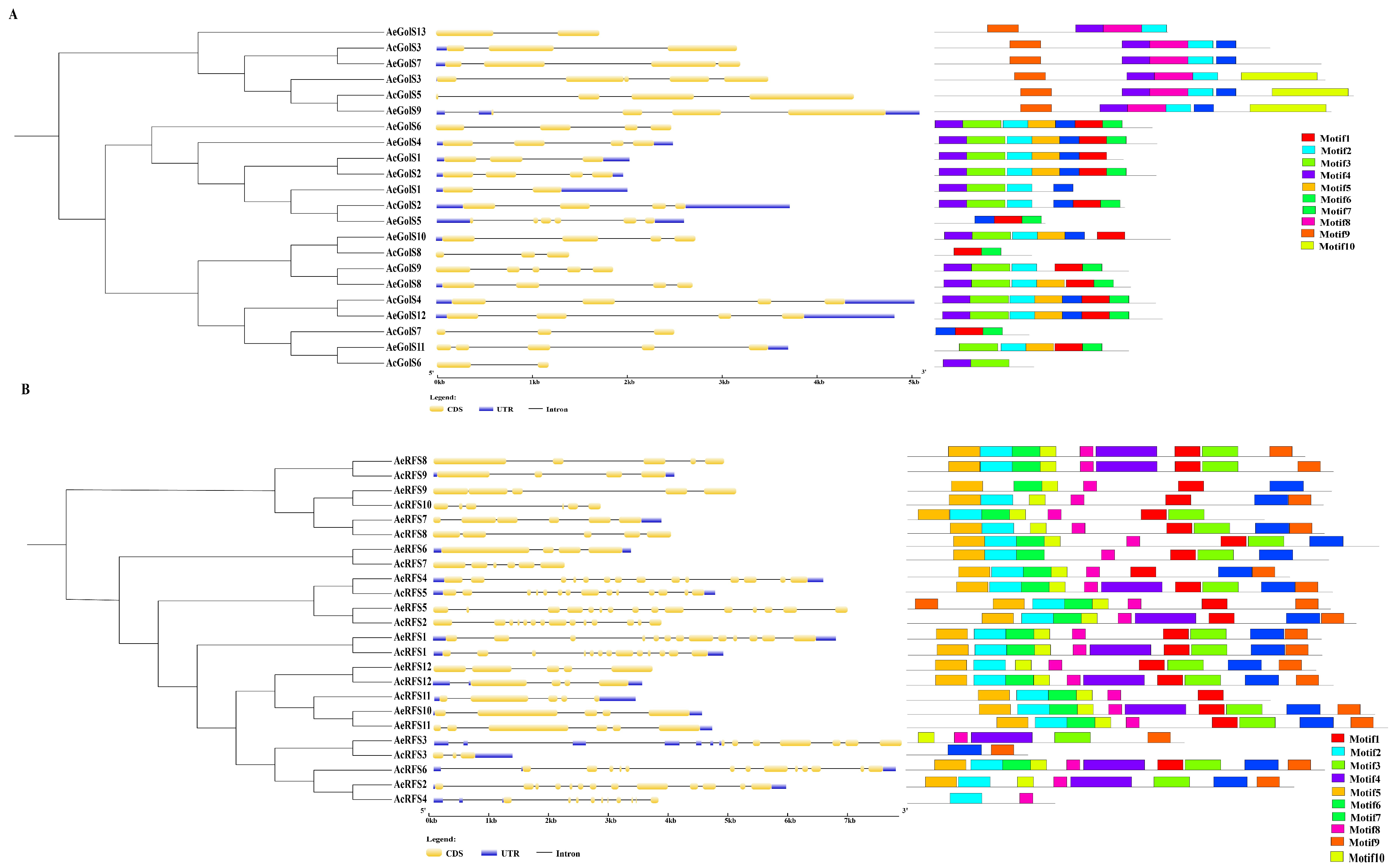 Ijms 23 08836 g002 550