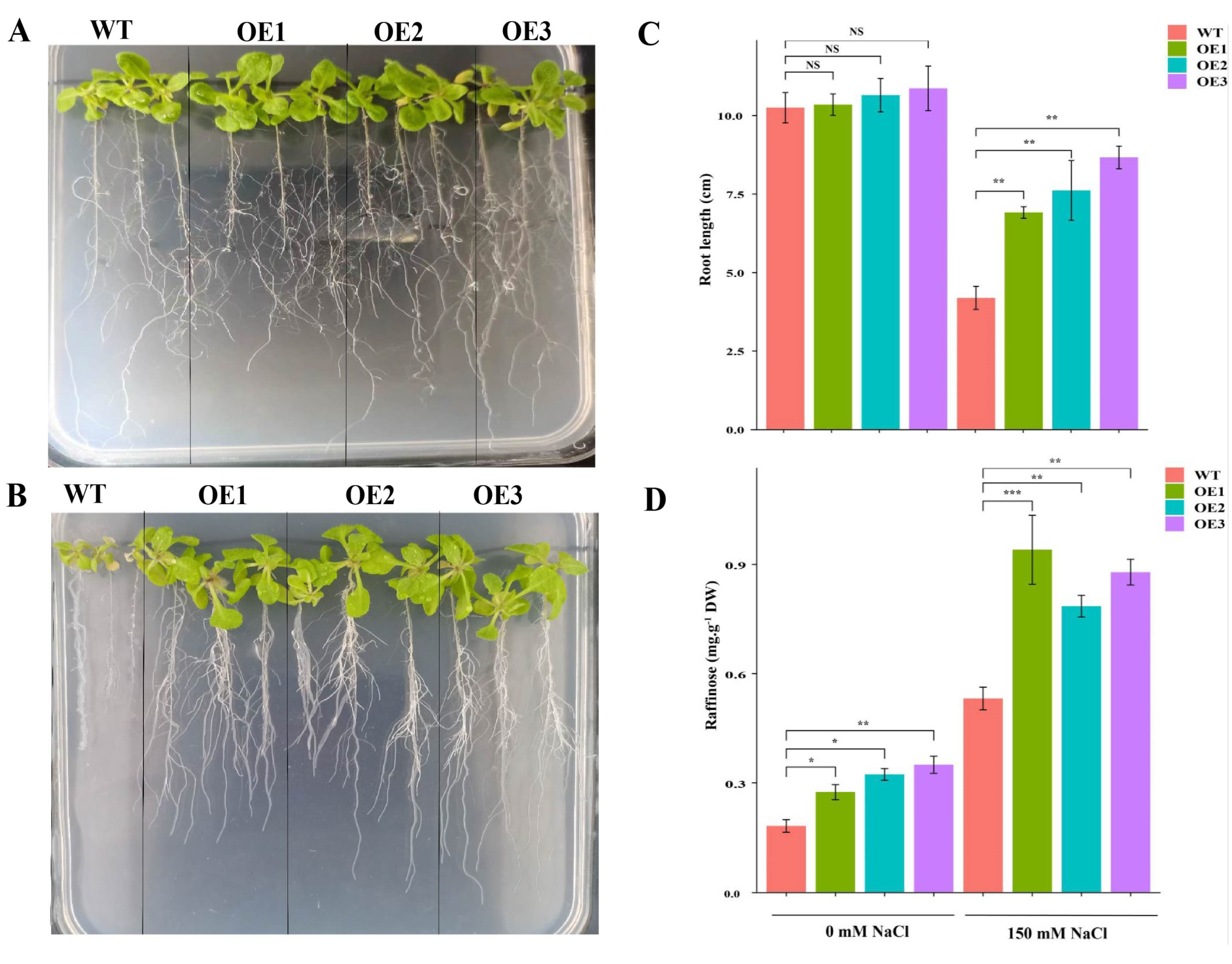 Ijms 23 08836 g009 550