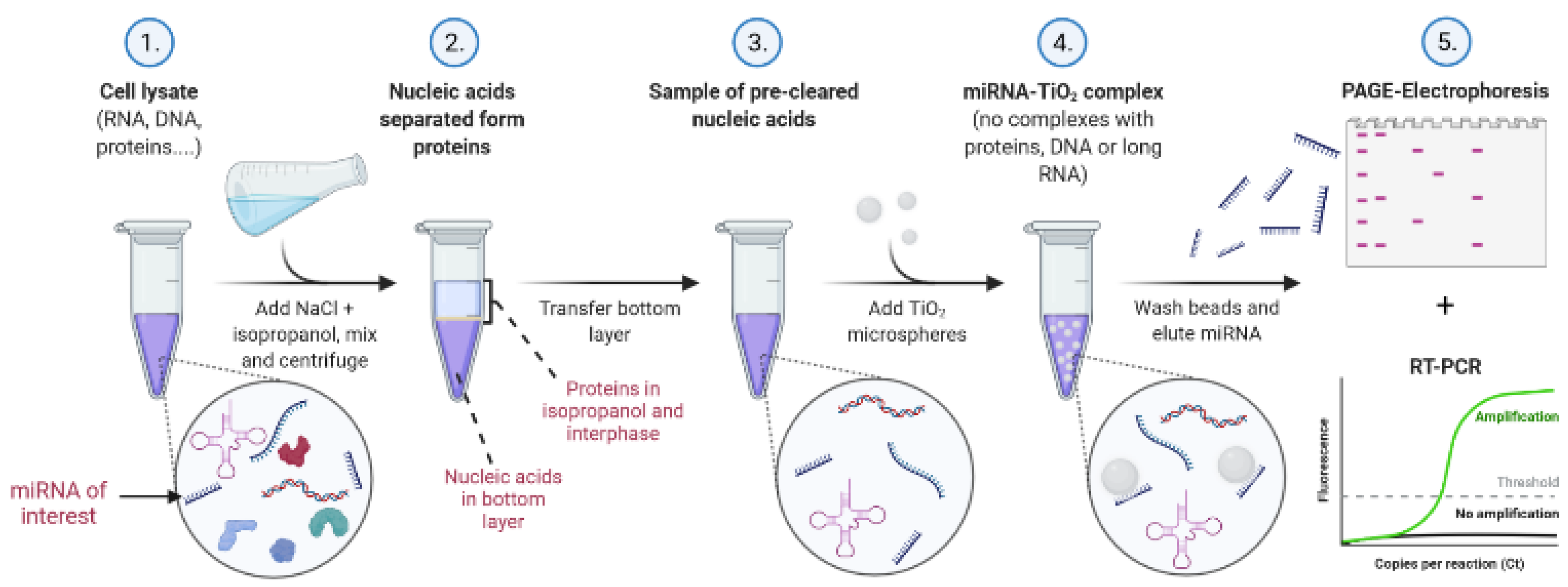 IJMS Free FullText Phenol/ChloroformFree TiO2Based miRNA