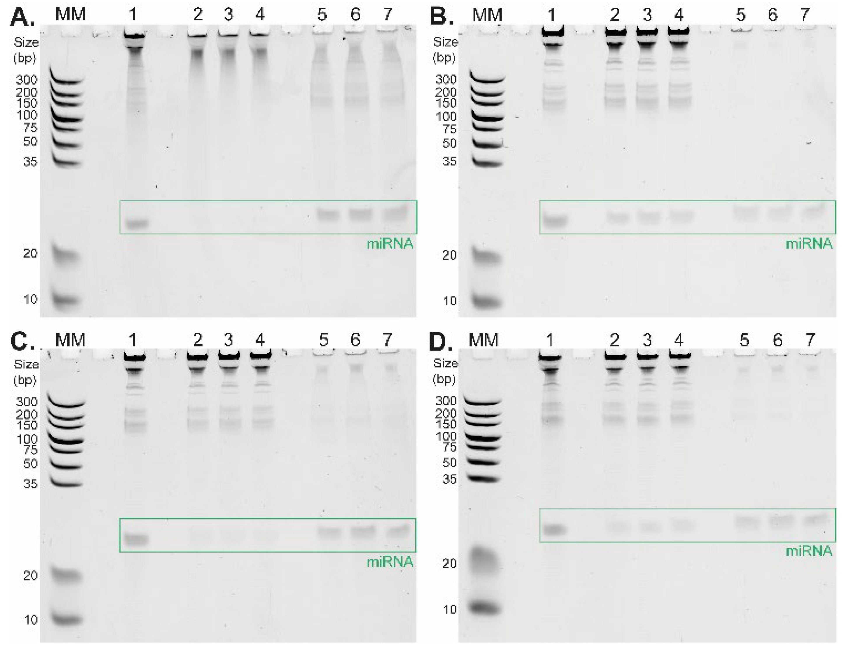 Ijms 23 08848 g002 550