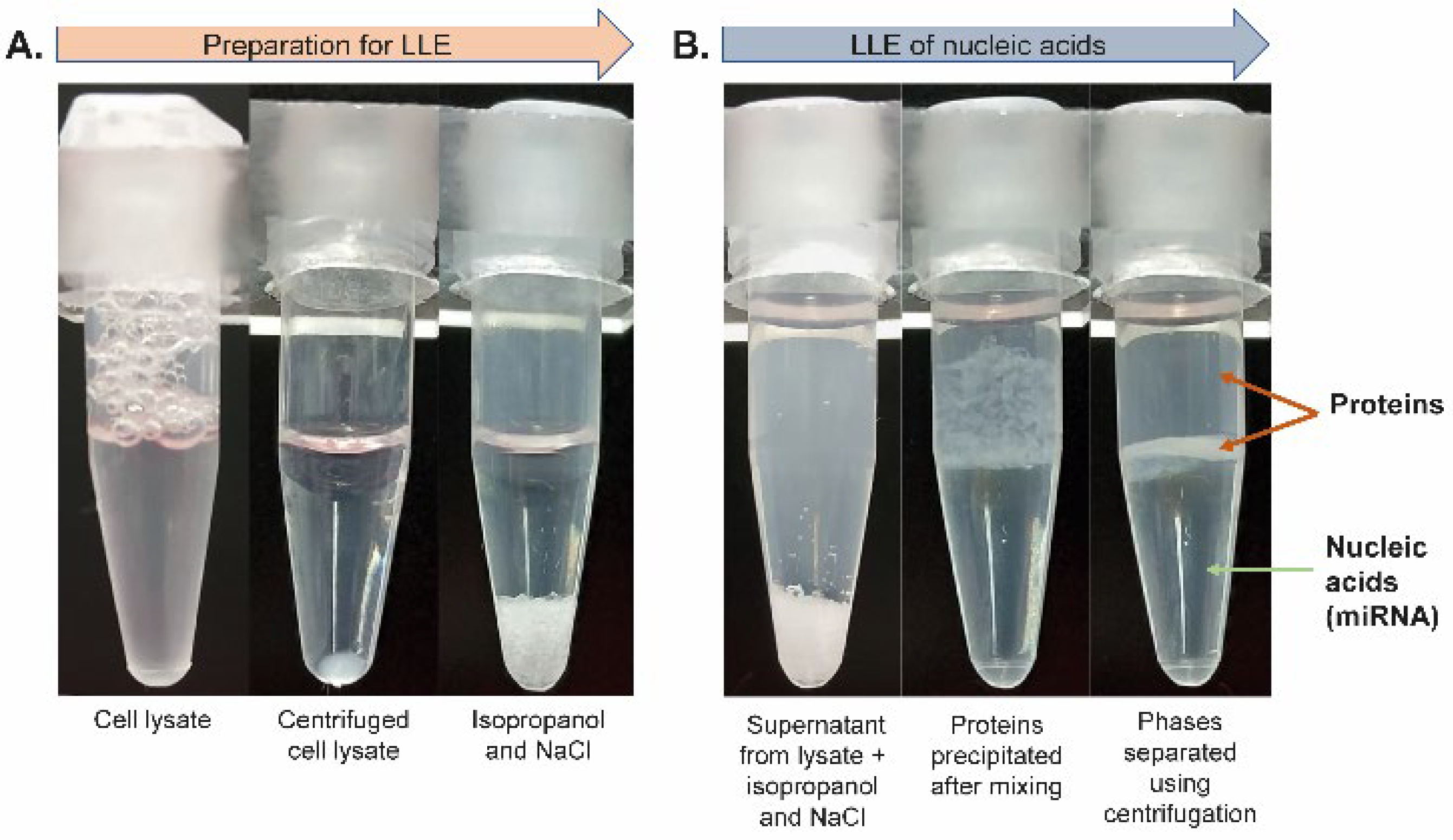 Ijms 23 08848 g003 550