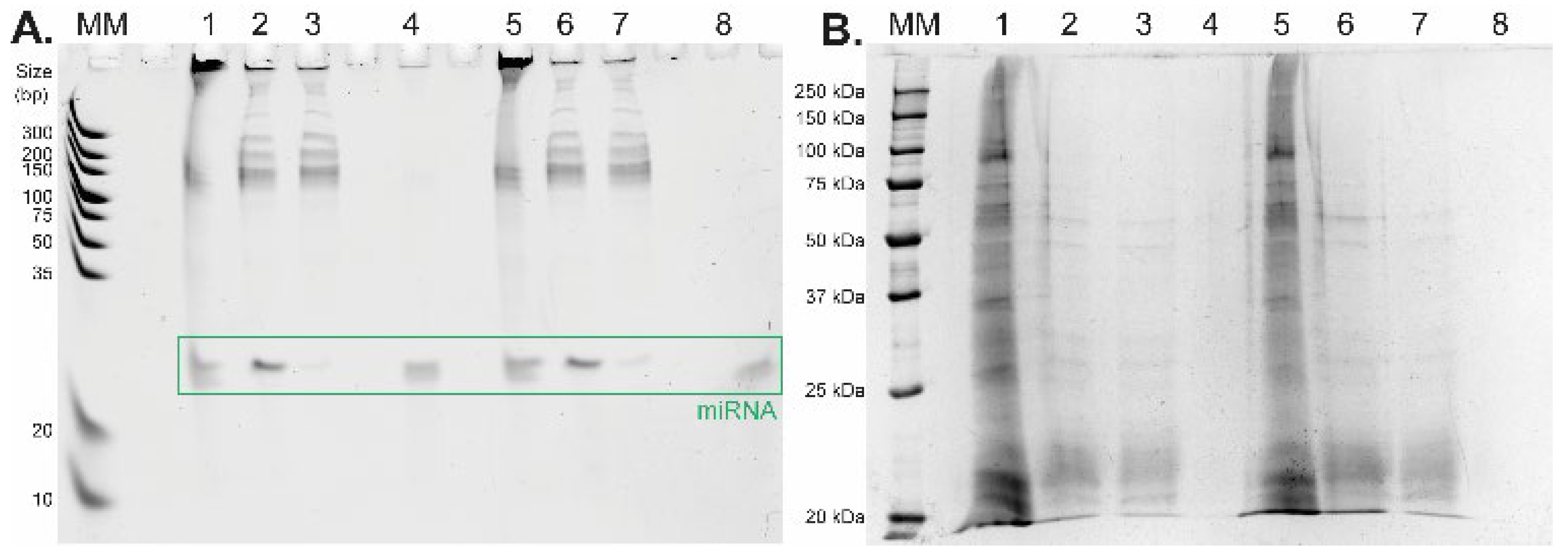 Ijms 23 08848 g004 550