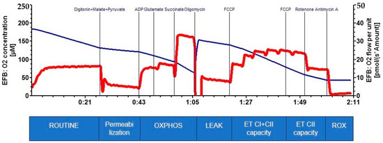 ROUTINE respiration - Bioblast