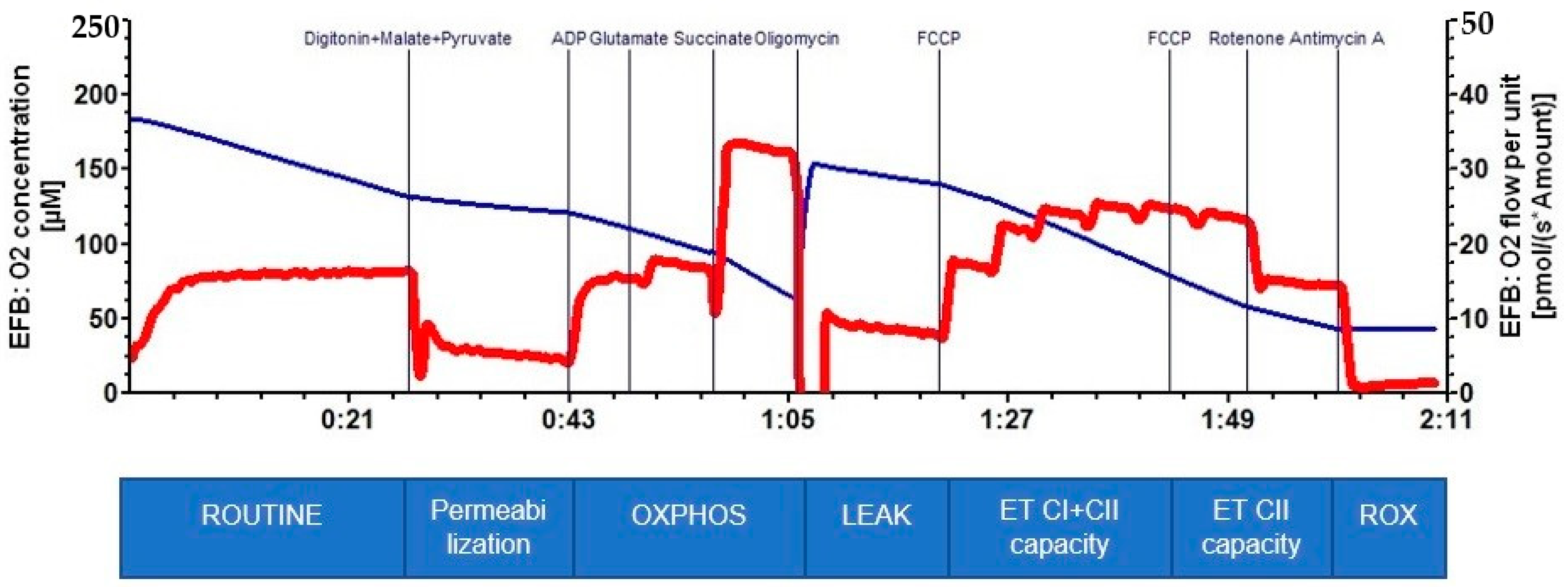 LEAK respiration - Bioblast