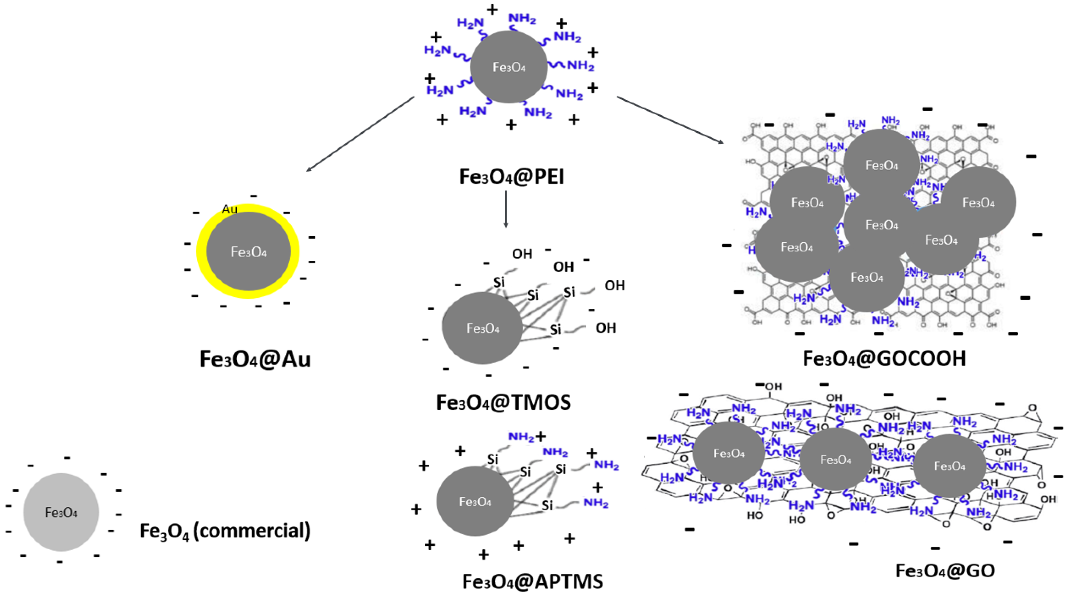 Ijms 23 08860 g001 550